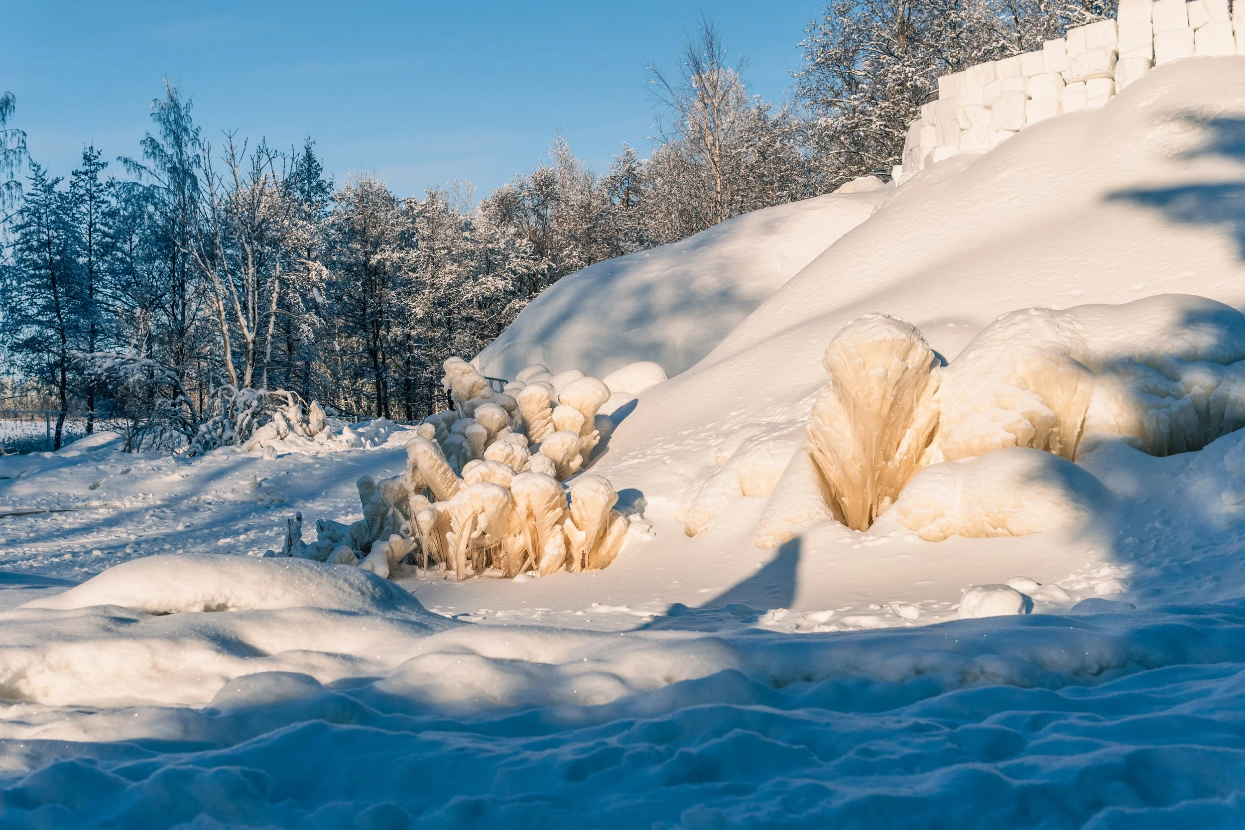 Lumilinna Botanialla, kuvaaja Karoliina Gavrilov
