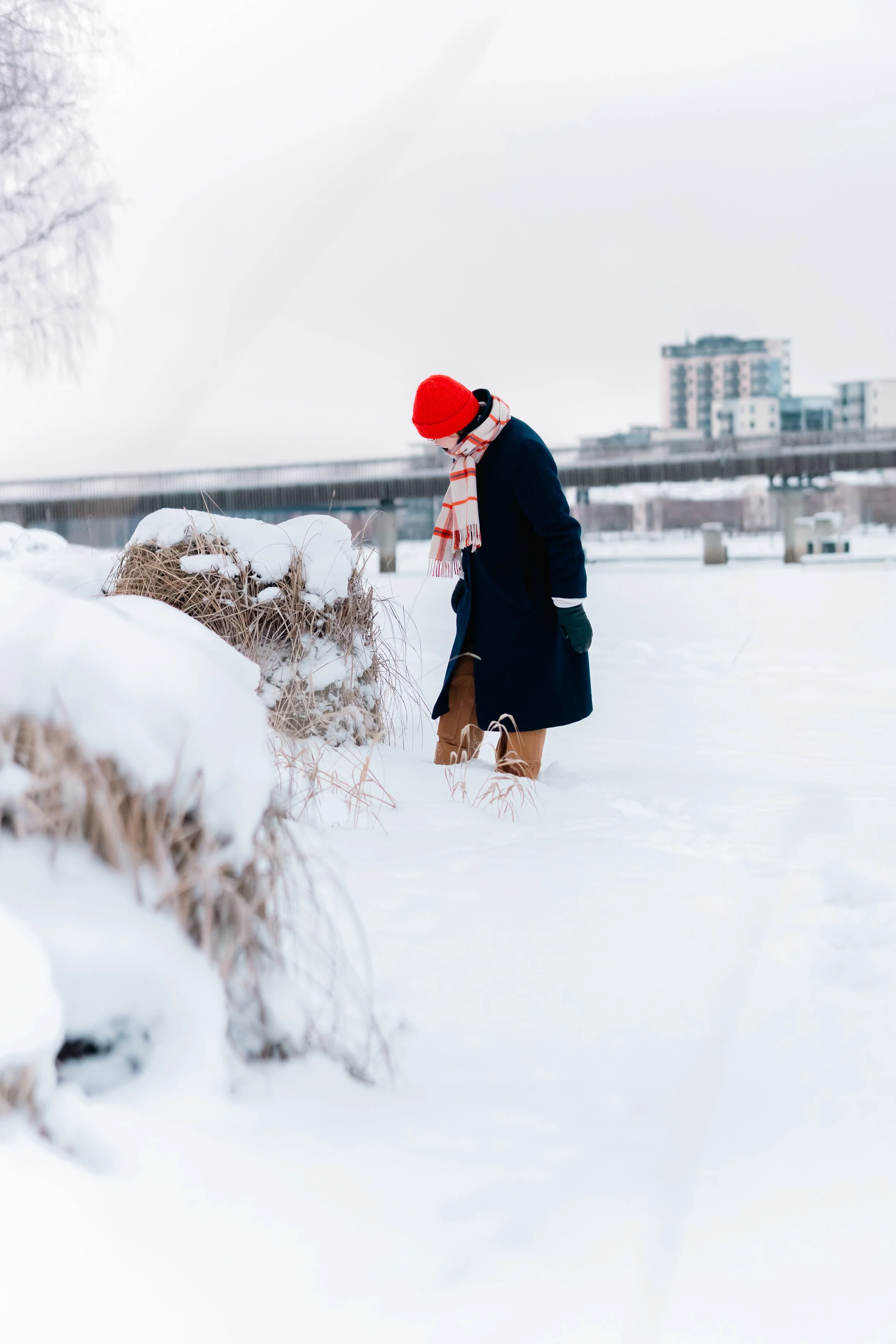 Muotoilija Katriina Nuutinen inspiroituu luonnosta. Joensuun läpi virtaavan Pielisjoen rannoilla on runsaasti talventörröttäjiä, joista inspiroituneena Katriina on luonut uusimman taideteoksensa. Kuva: Karoliina Gavrilov