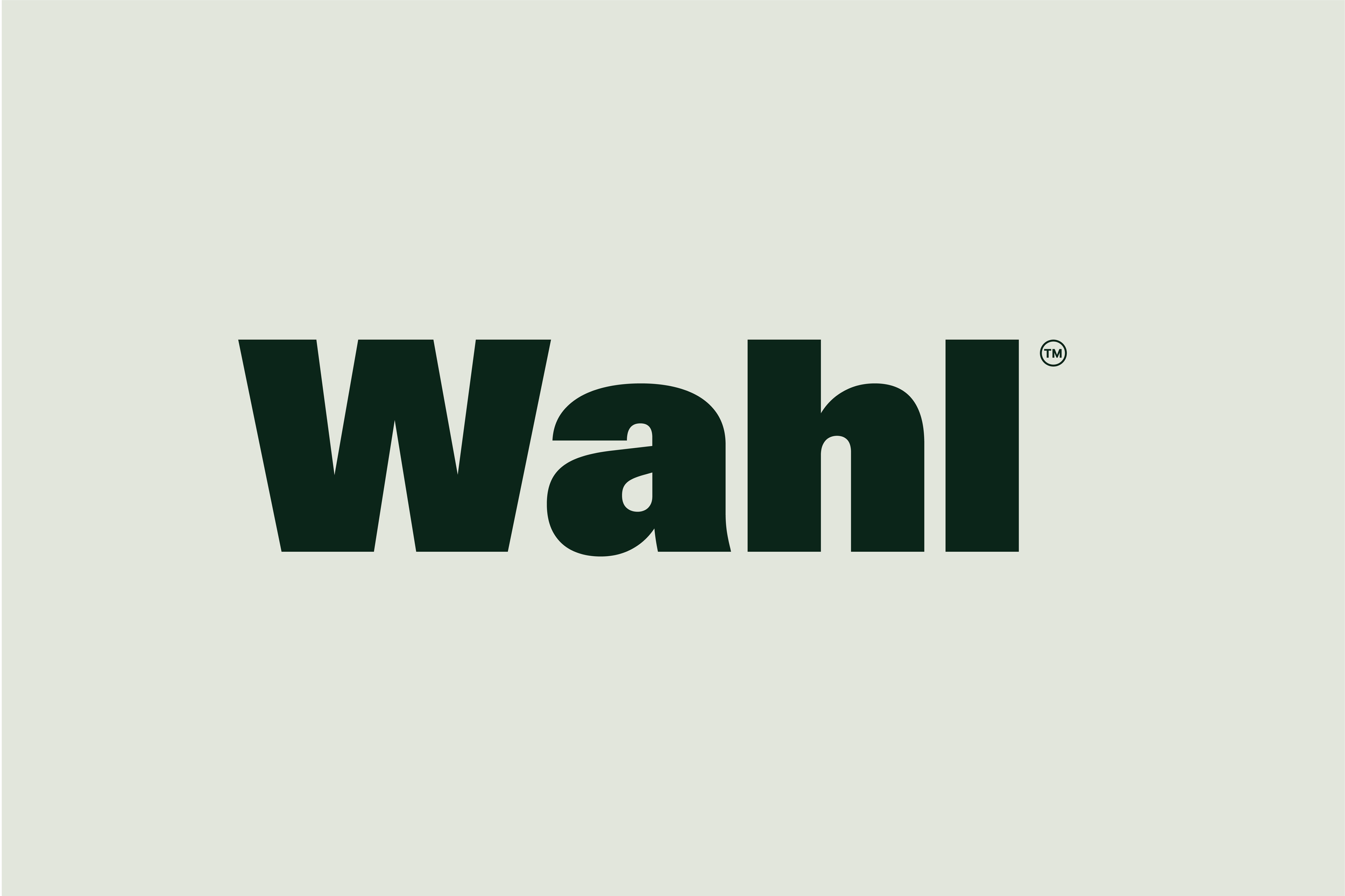 Wahl@4x.png