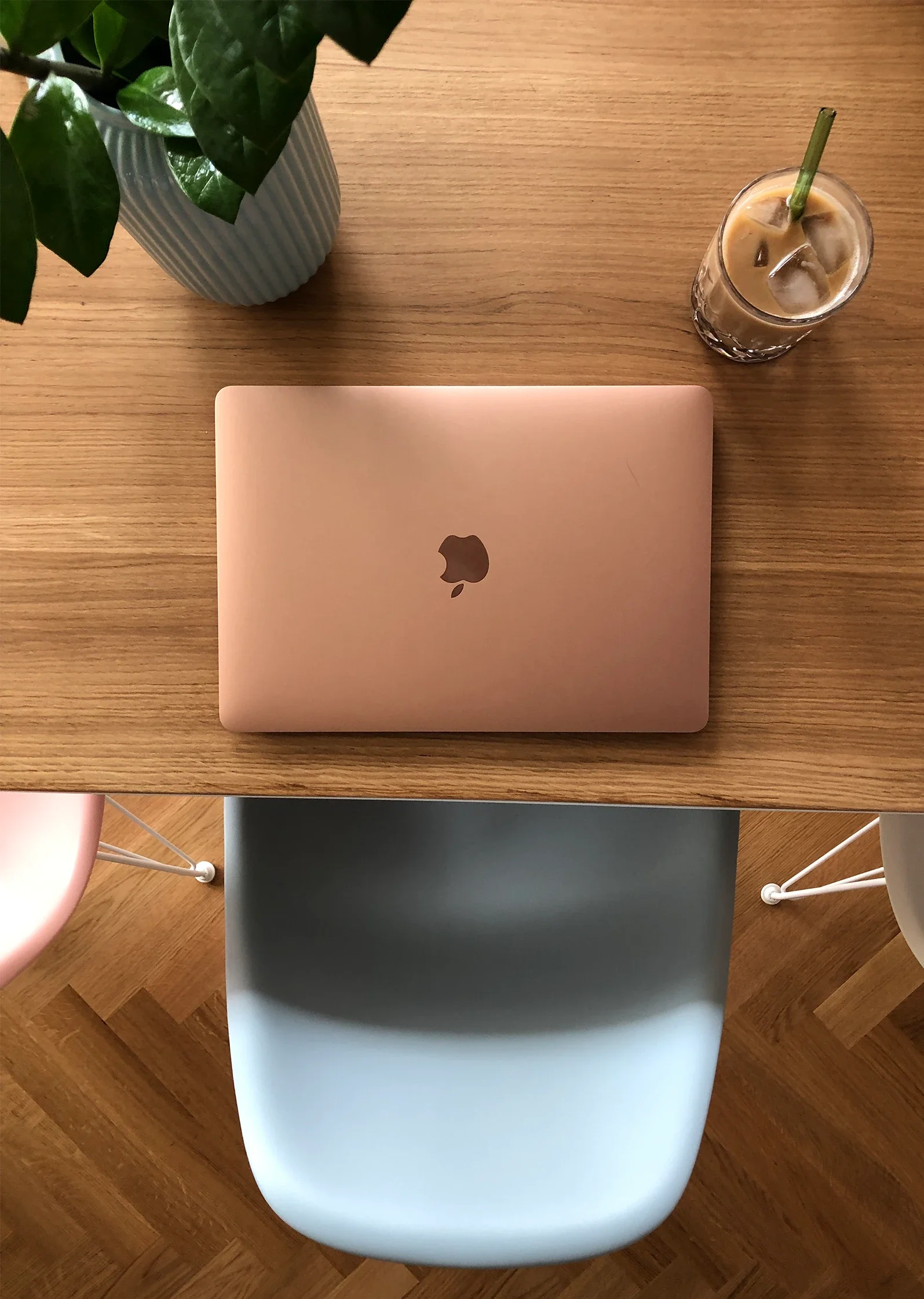 Auf einem Holztisch steht ein Laptop, eine Pflanze und ein Eiskaffee.