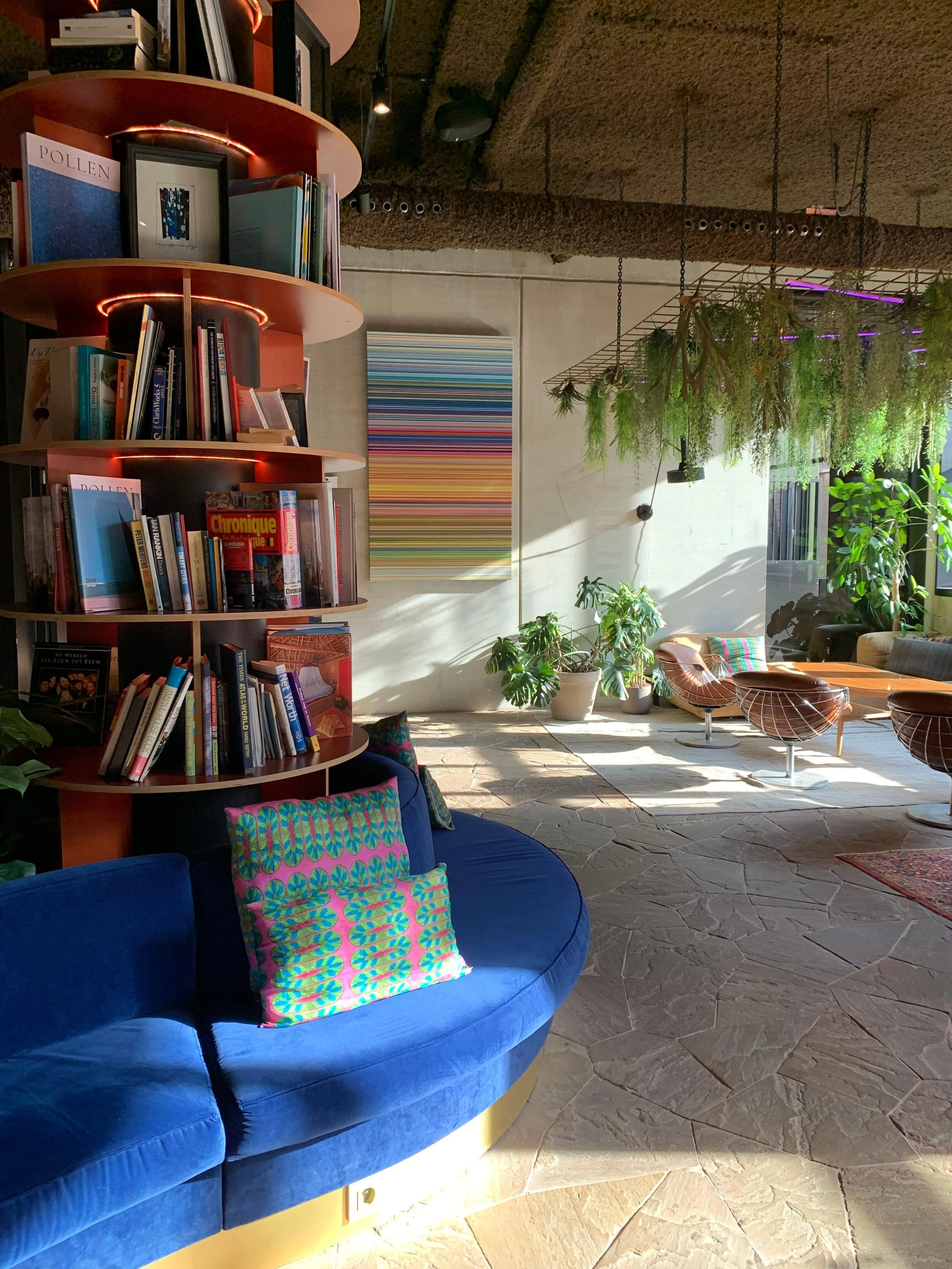 Interior of a modern, well-lit lounge with a blue velvet curved sofa with colorful pillows, a tall curved bookshelf filled with books, and various potted plants. Natural sunlight streams through large windows, highlighting hanging greenery and contemporary decor.