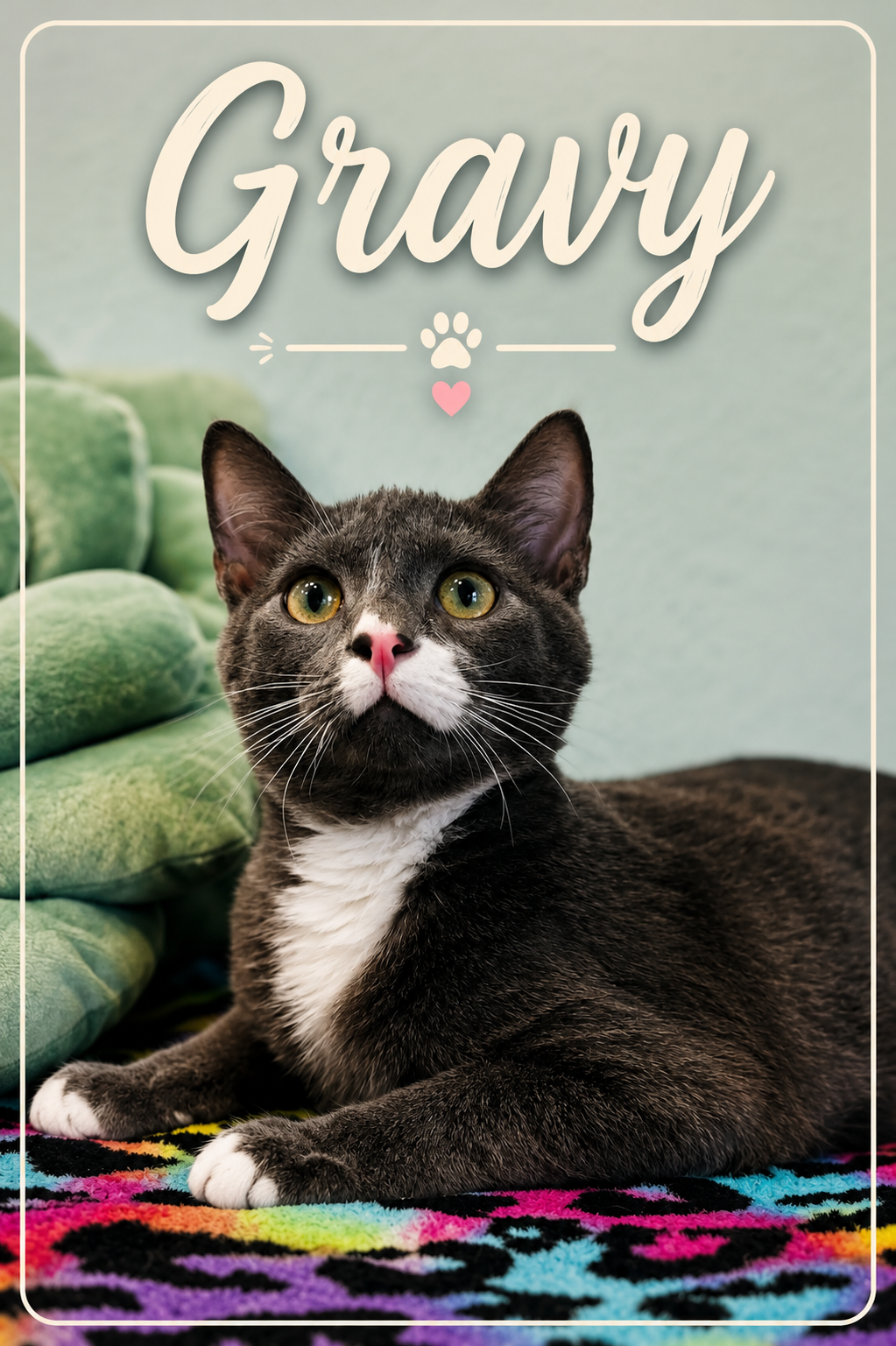 Meet Gravy! Gravy is Biscuit’s quieter counterpart curious from a distance, observing the world carefully until he feels ready to join in. Like his brother, he’s a chatterbox in his own soft-spoken way. He watches everything with thoughtful eyes and 