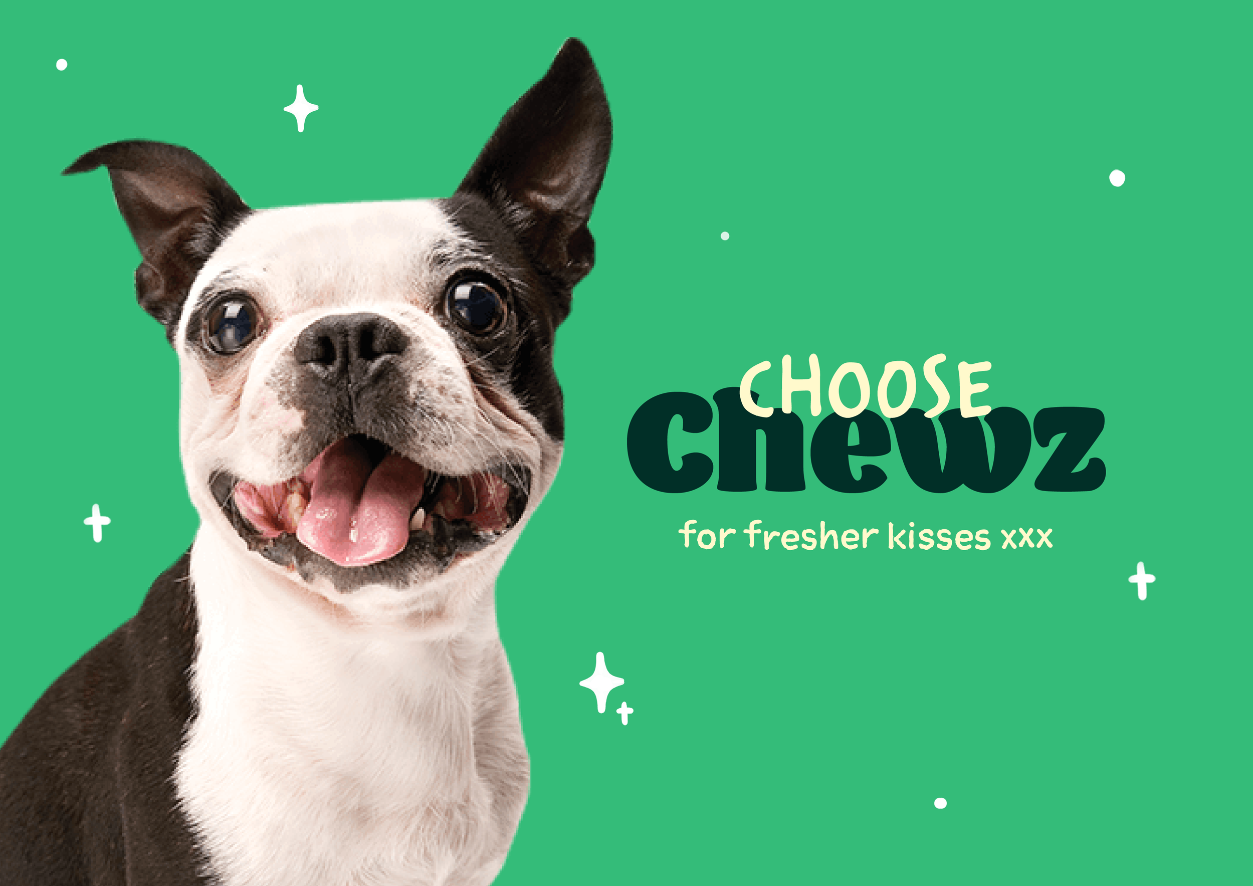 chewz poster 1 edit.png