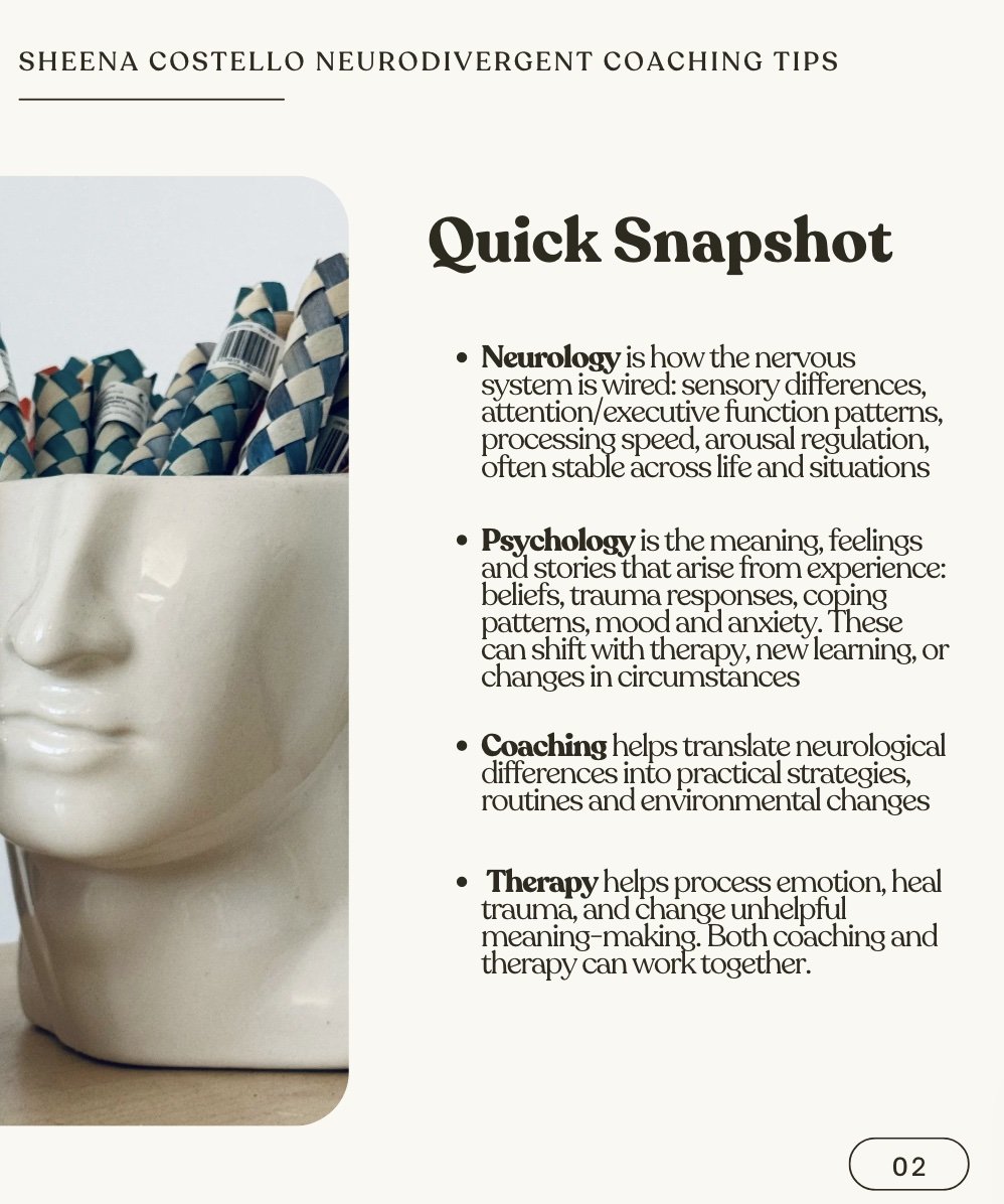 Image of pg2 ND Free Resource.jpg