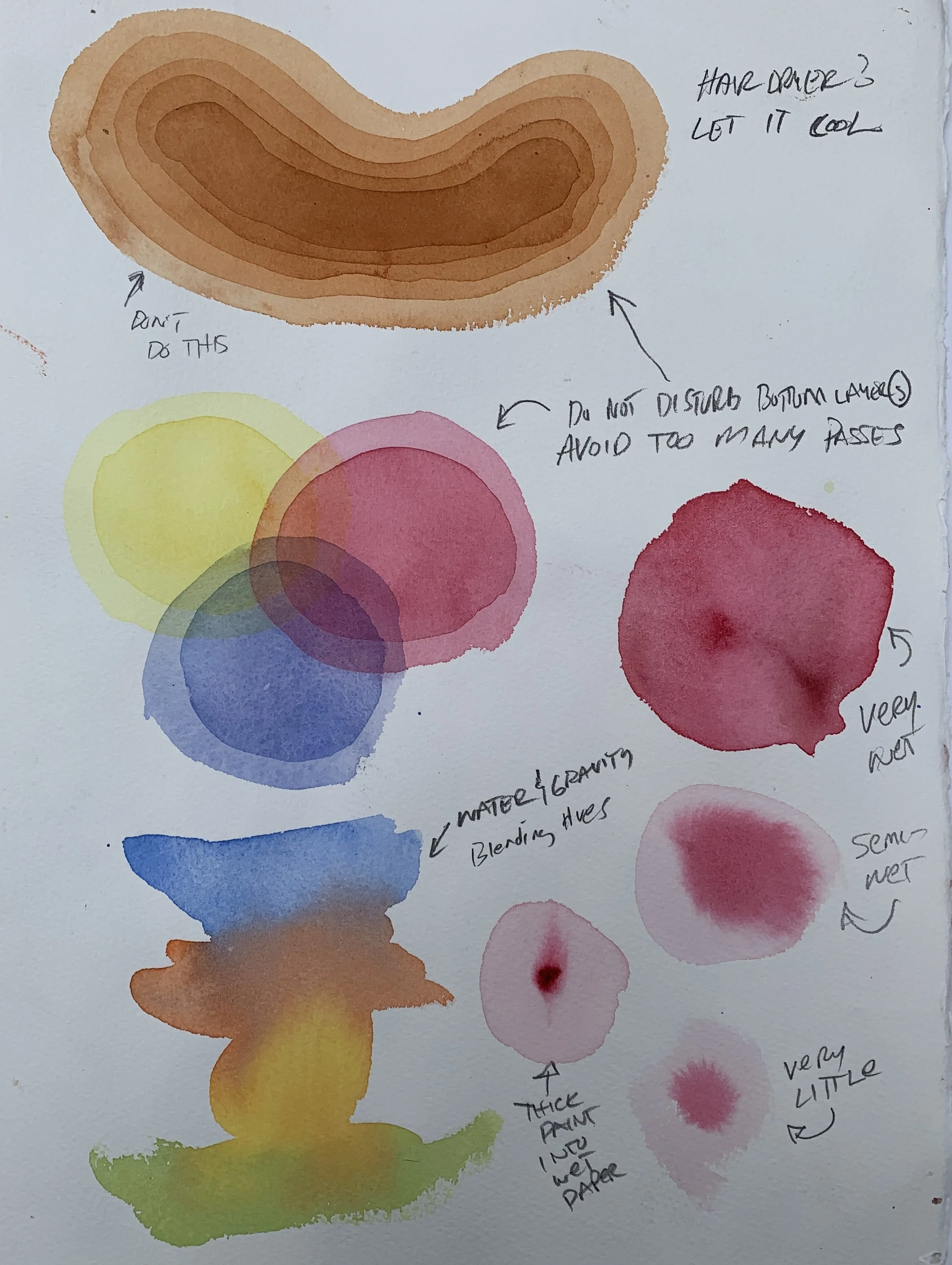 Watercolor workout course - beginner foundations