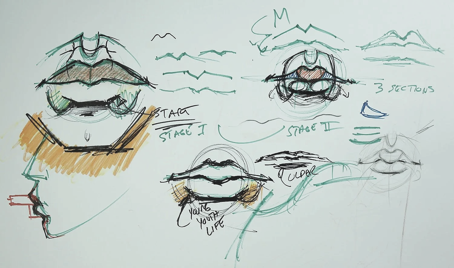 advanced head drawing course