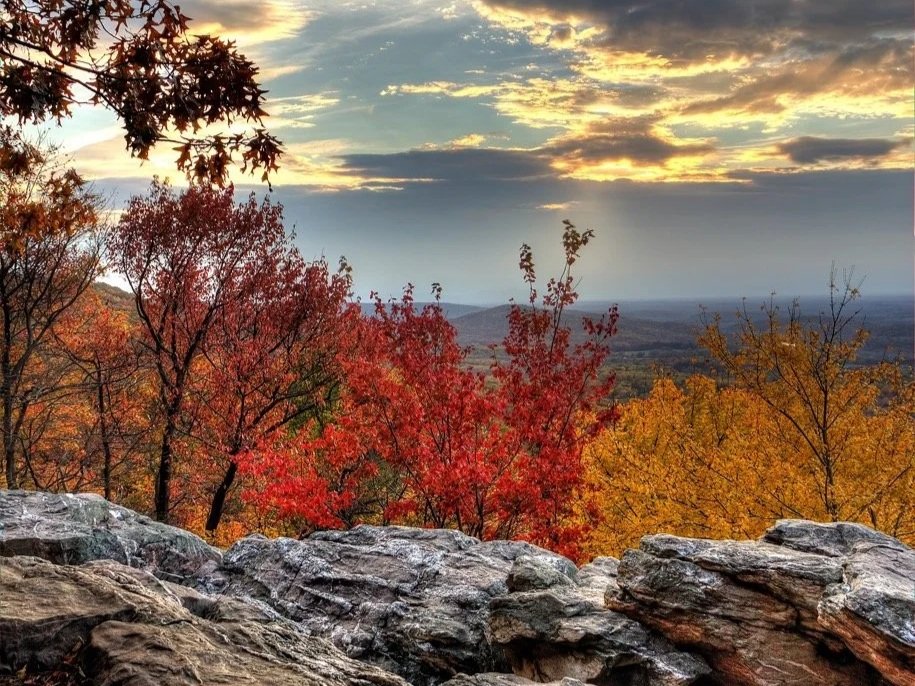 A scenic view of a sunset over a forest with trees in fall colors of red, orange, and yellow, with rocks in the foreground.