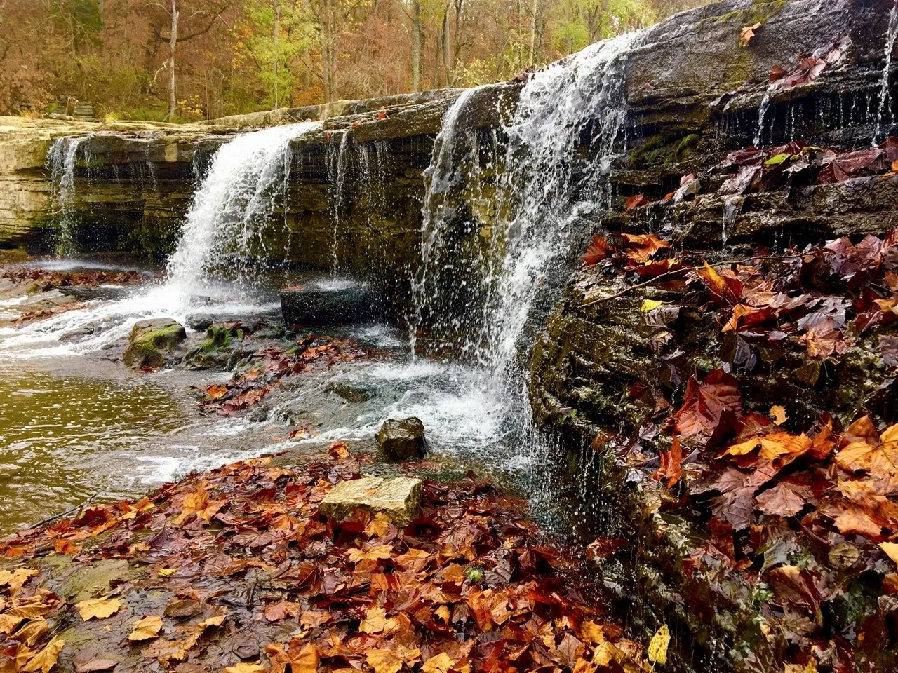A small waterfall cascading over rocks with autumn leaves on the side and in the water, surrounded by leafless trees in fall colors.