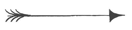 A simple black arrow pointing to the right with a decorative tail.