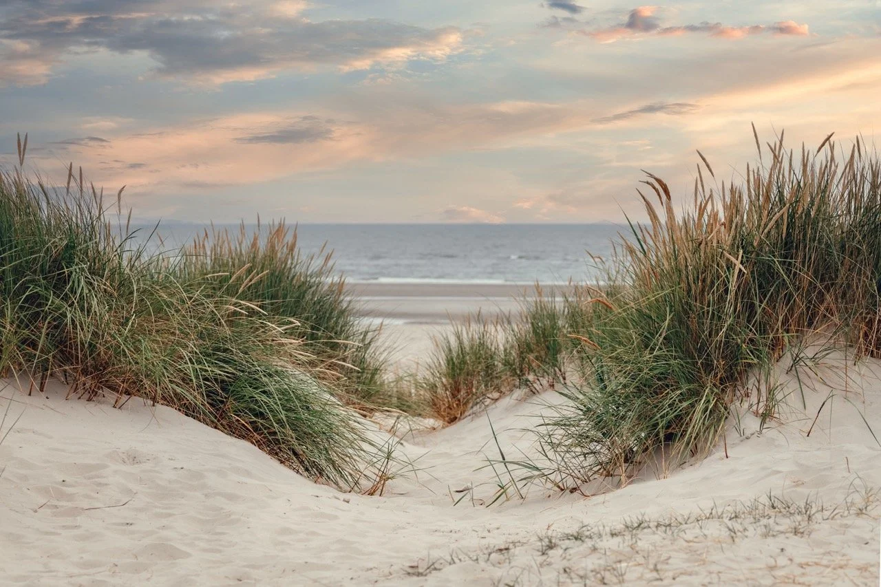 A sandy beach viewed through dunes with green grass, overlooking the ocean under an overcast sky.