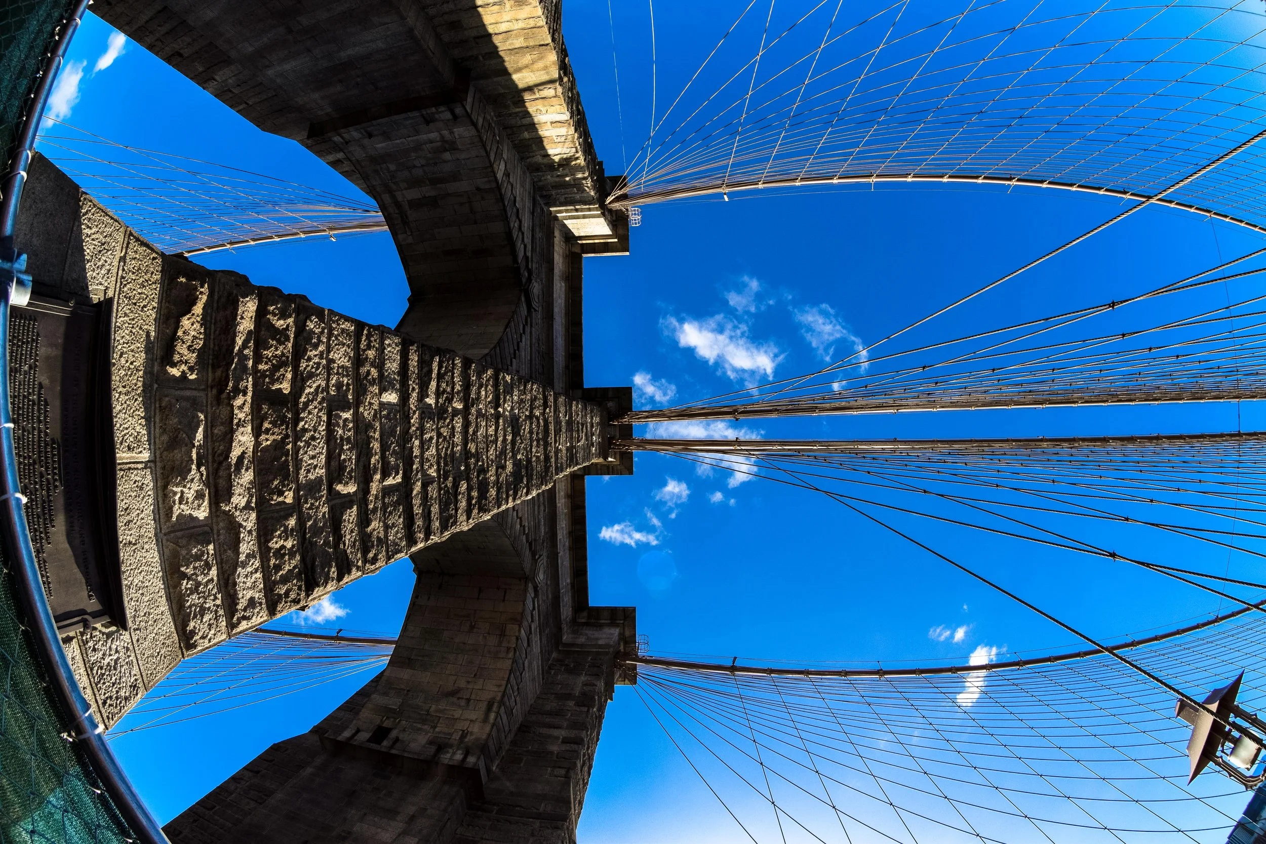 Copywrite Ripple Photography @ 2016-237.jpg