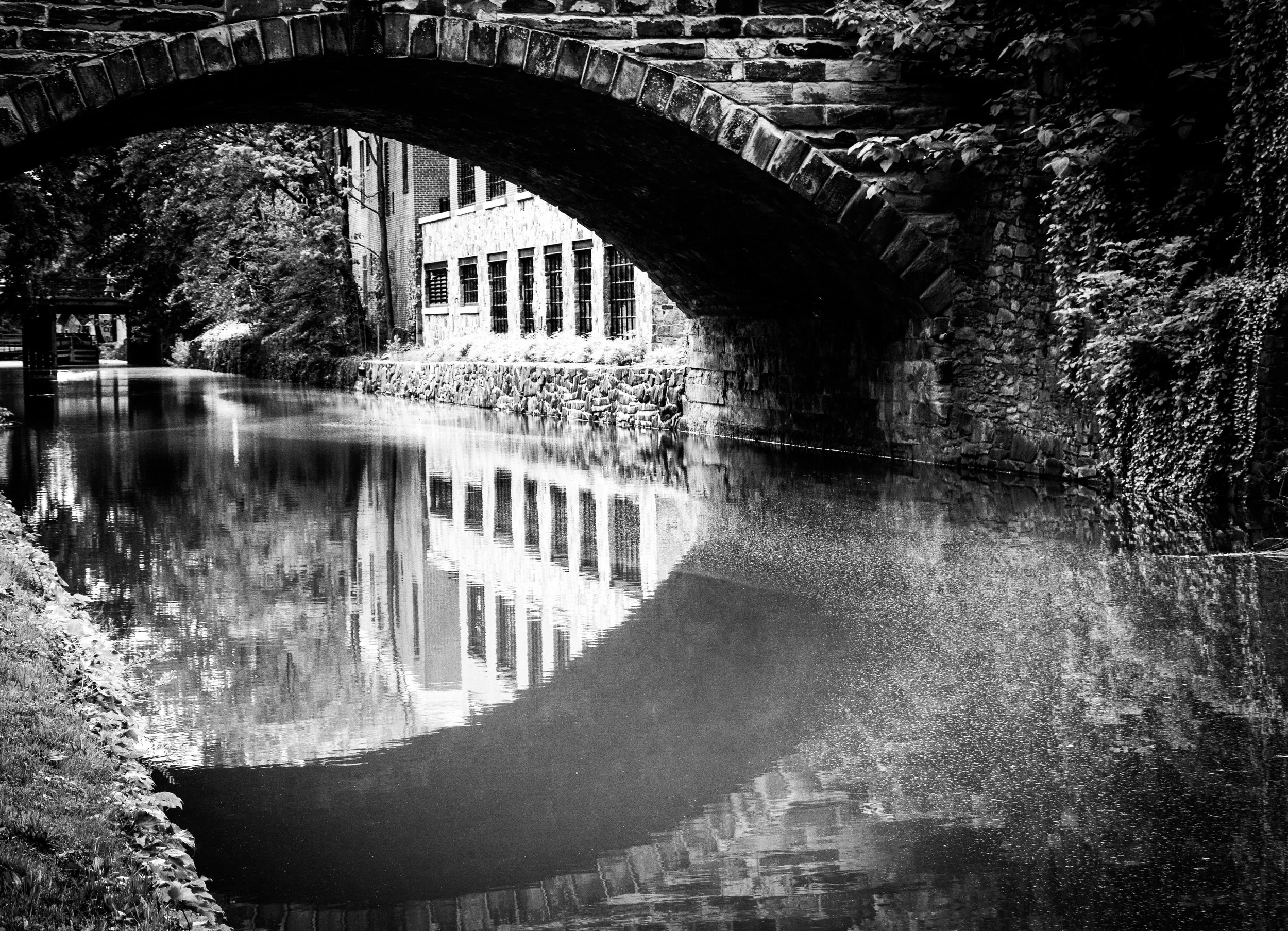 Copywrite Ripple Photography @ 2016-1-6 (2).JPG