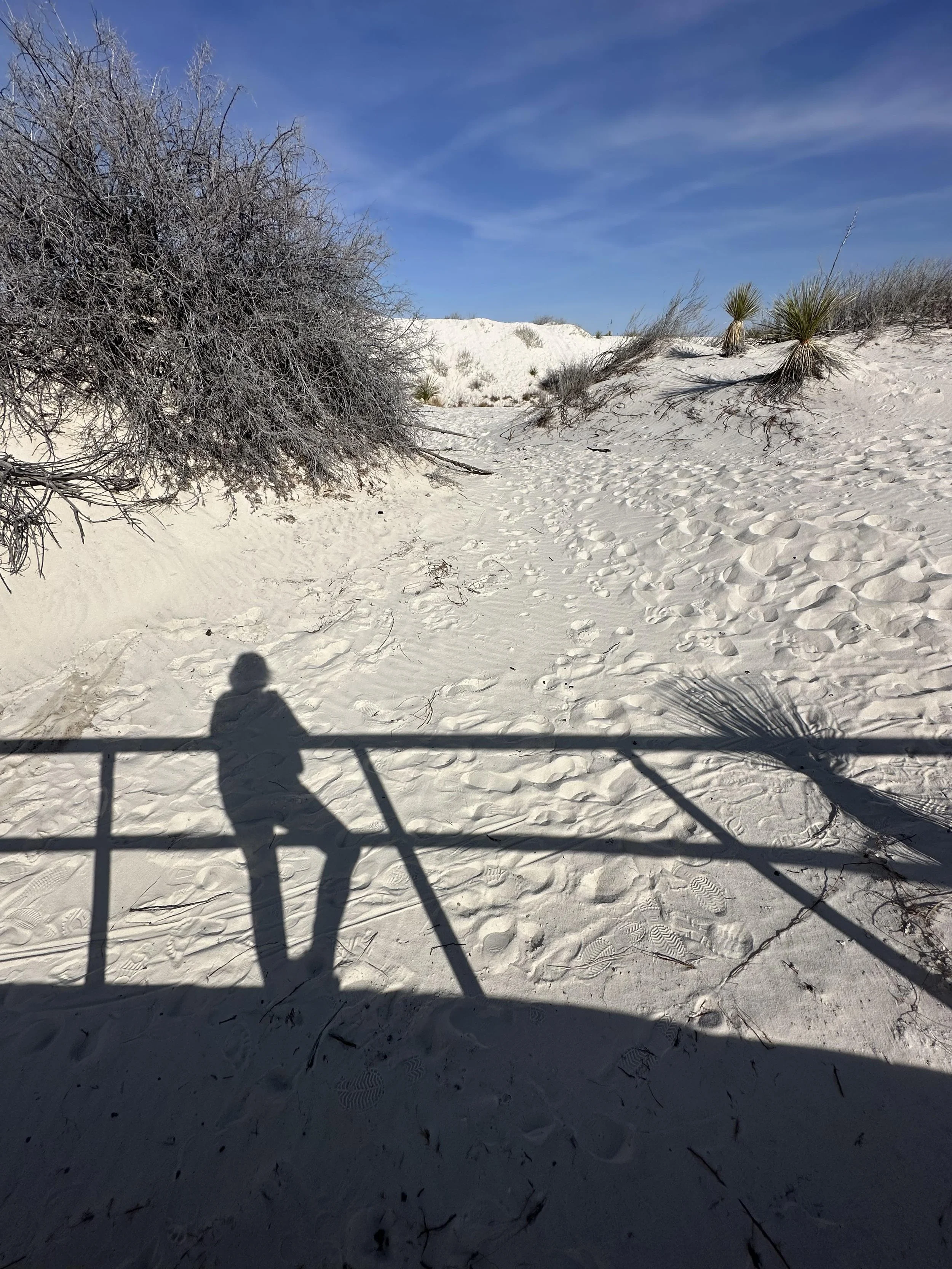 Happiest in the Present Moment