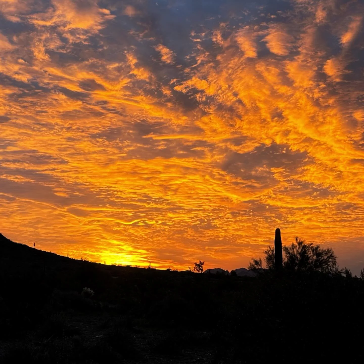 The year&rsquo;s final sunrise, glowing us into what&rsquo;s next 🧡✨🚐

#out_wandering #sunrise #goldenhour