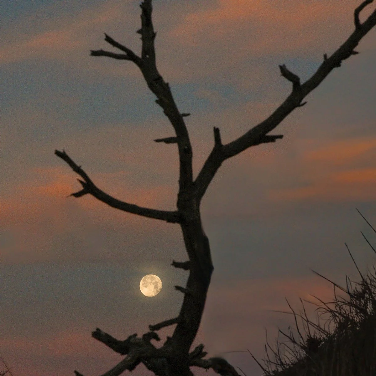 The first step forward is deciding not to stay where you are &mdash; starting the year with Wolf Moon confidence and a heart full of possibility.

Who's with me?

✨🚐💛

#out_wandering #wolfmoon #2026 #possible #heartfulloflove❤️