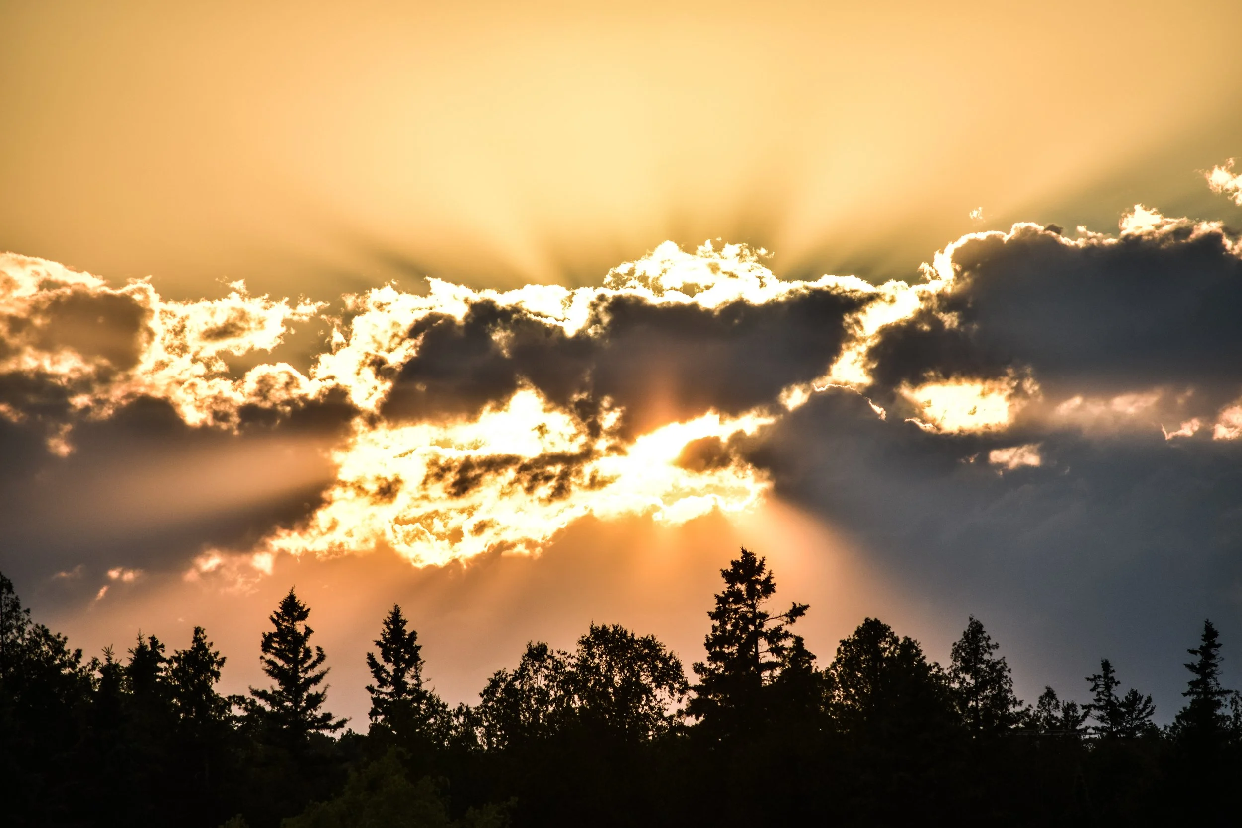 Sunset behind dark clouds with sunbeams shining through, silhouetted trees in the foreground.