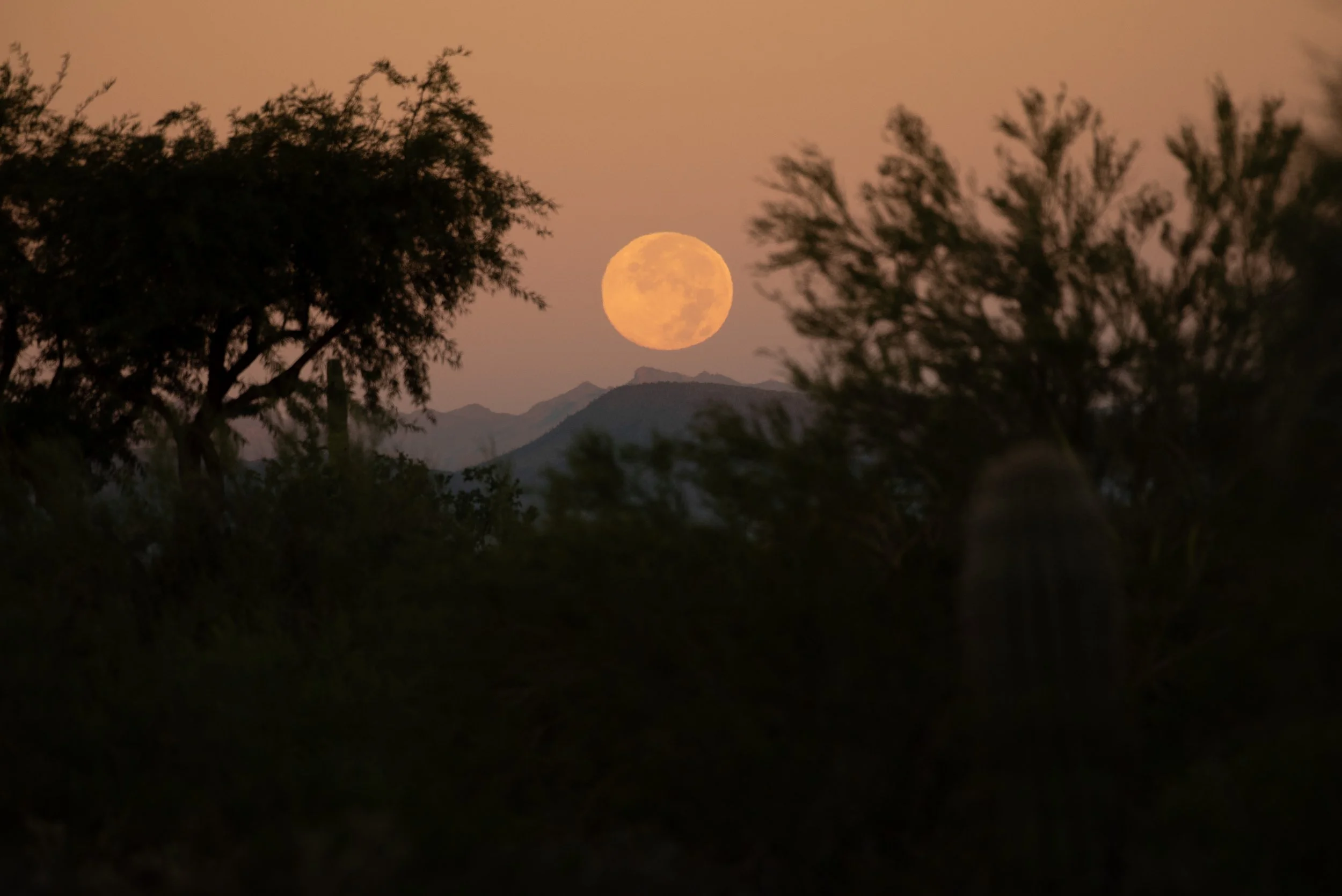 Kirsti Out Wandering_Seeing Light_October Moon-08.jpg