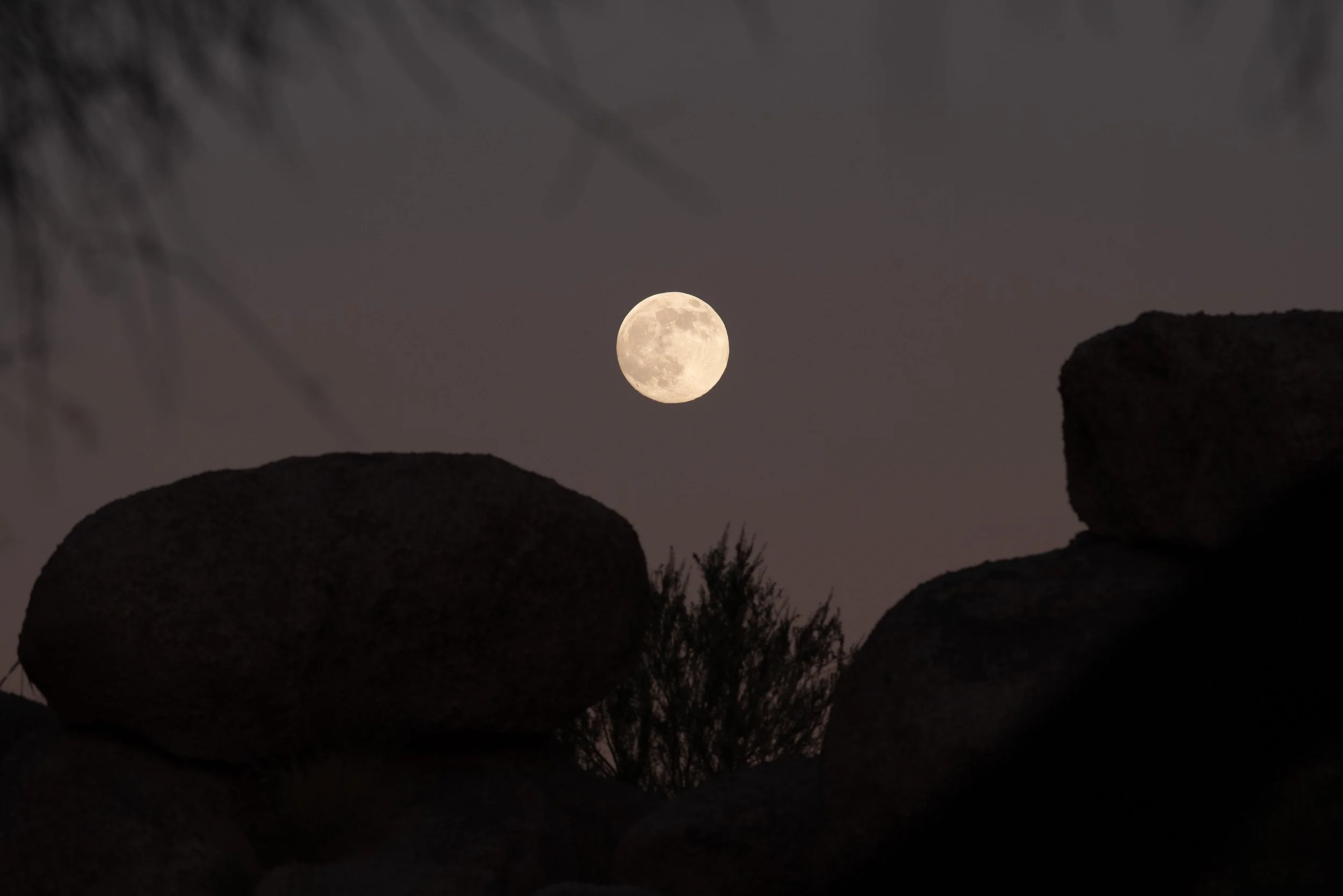 Kirsti Out Wandering_Seeing Light_October Moon-1.jpg