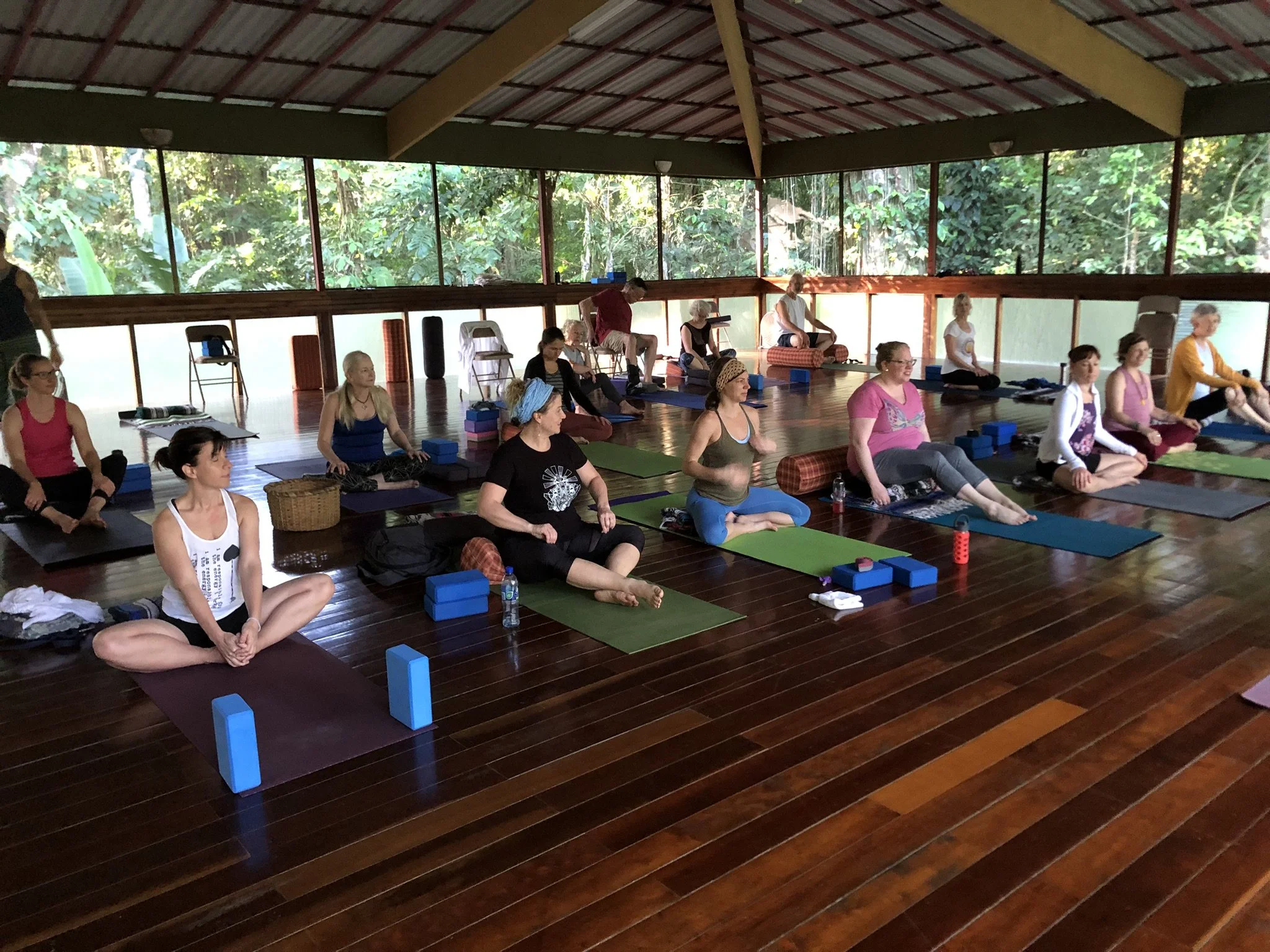 A group of people participating in a yoga class in a wooden-floored, sunlit studio surrounded by large windows with lush greenery outside.