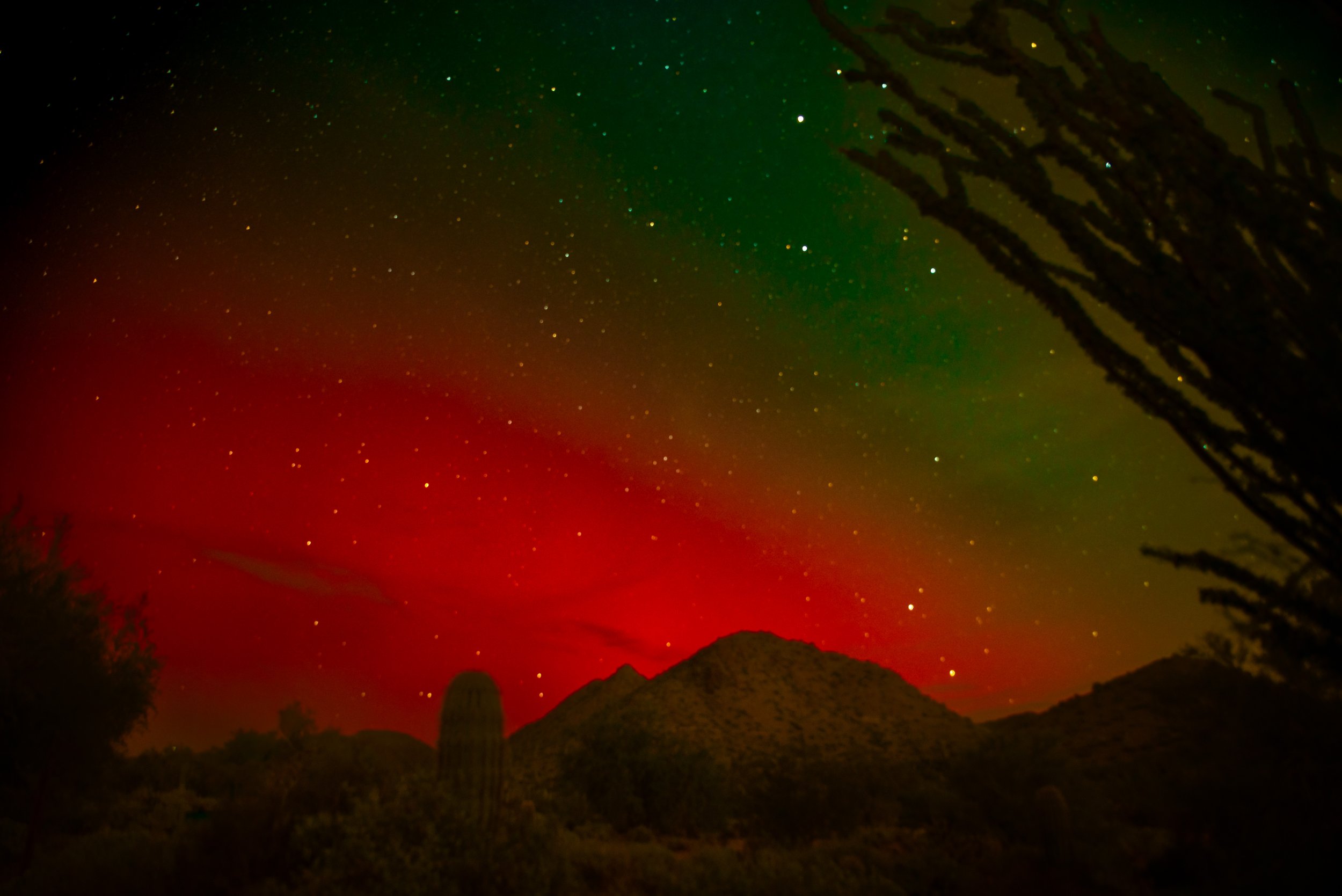 Kirsti Out Wandering_Northern Lights_Seeing Light Project 2.jpg