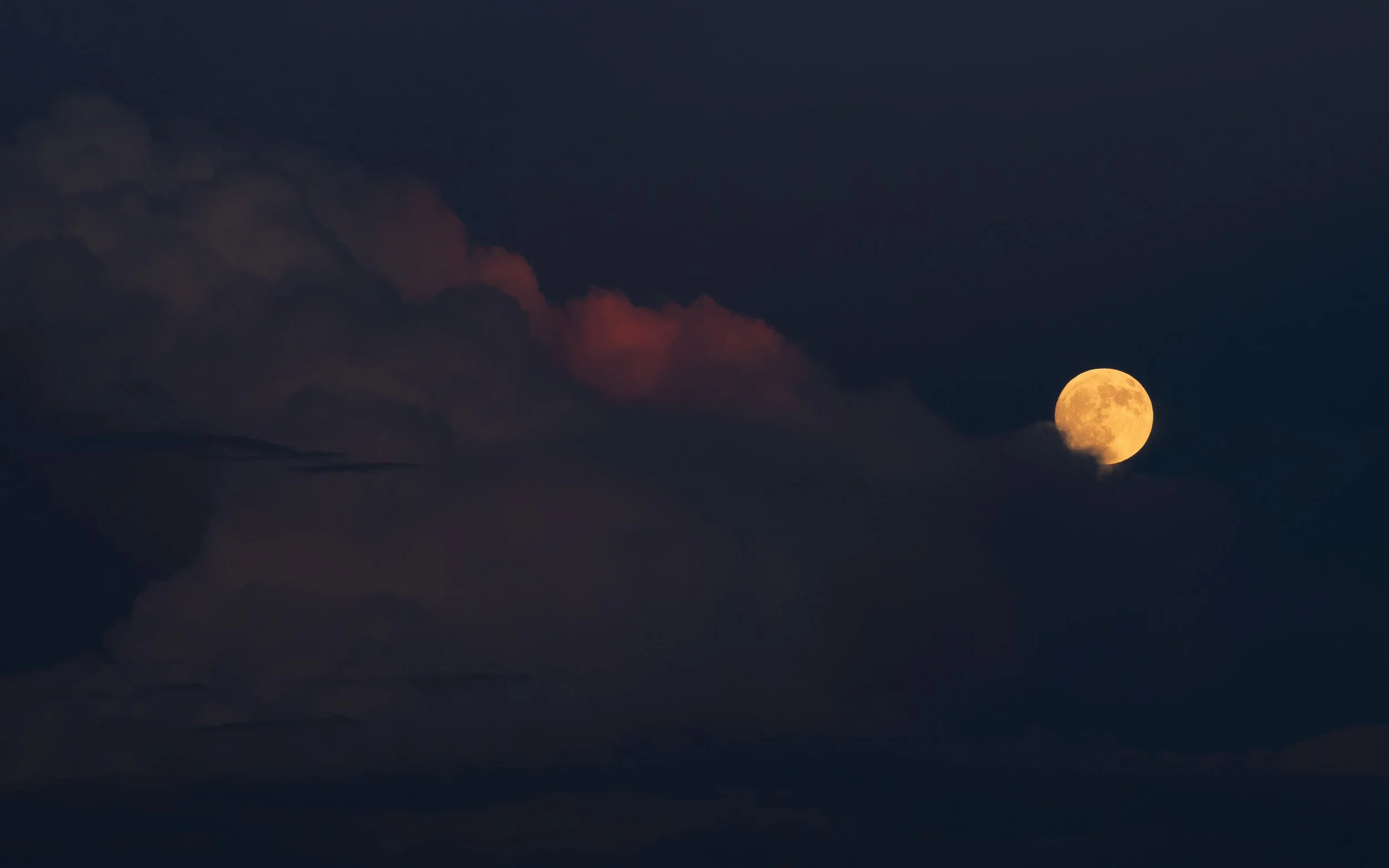 Kirsti Out Wandering_Seeing Light_August Moon-42.jpg