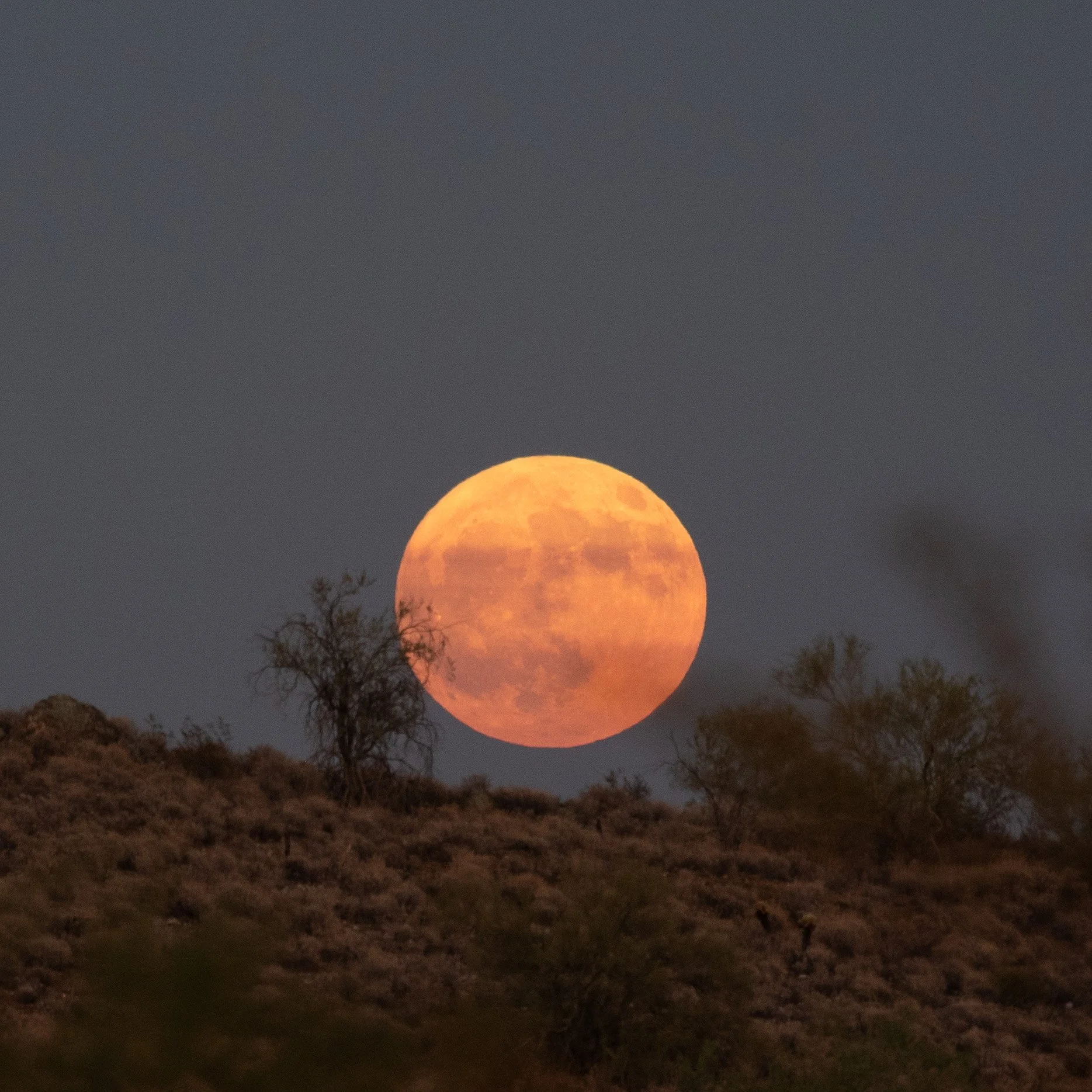 Kirsti Out Wandering_Seeing Light_August Moon-22.jpg