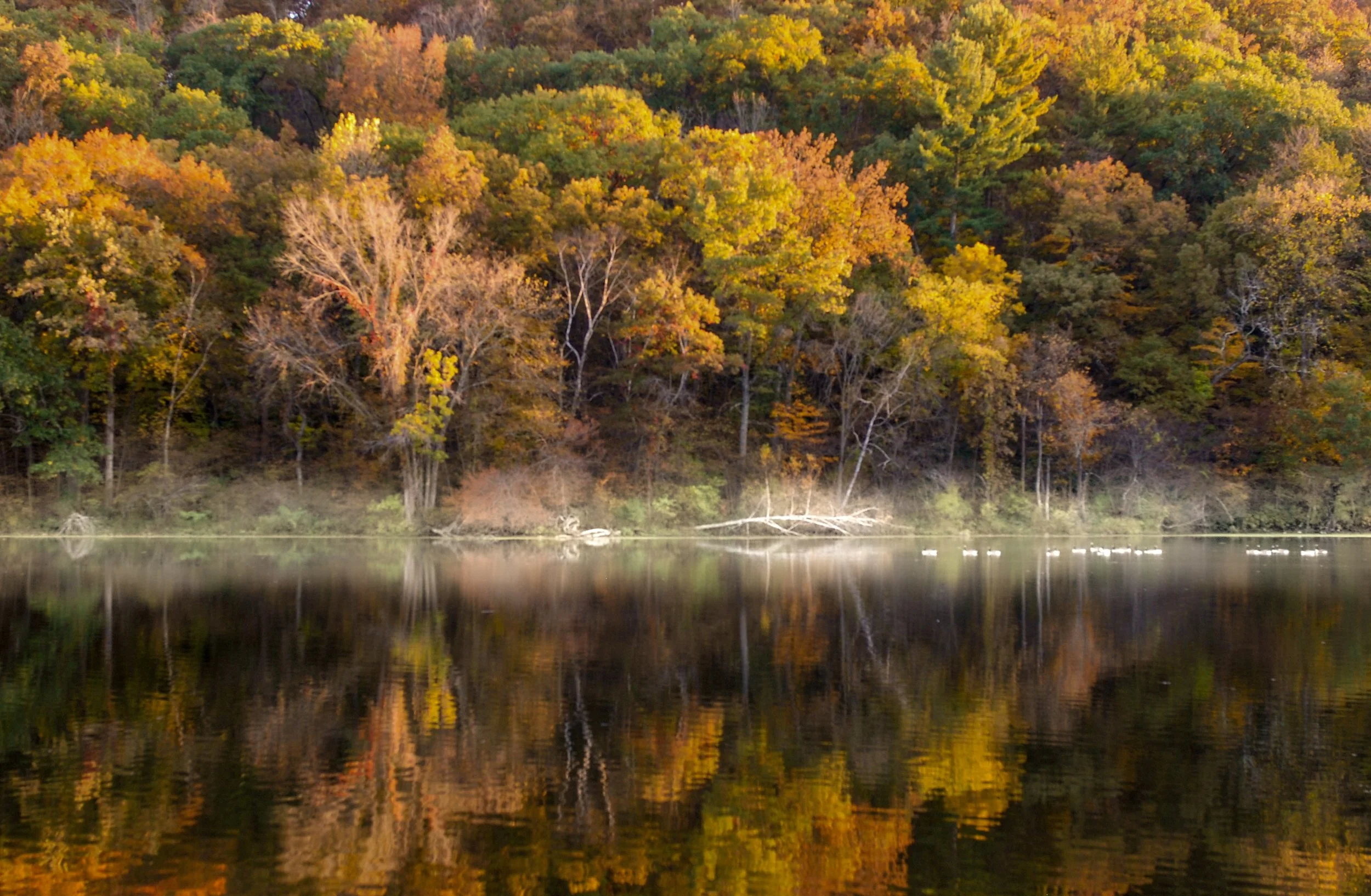 http---out-wandering.com-1 (2).jpg