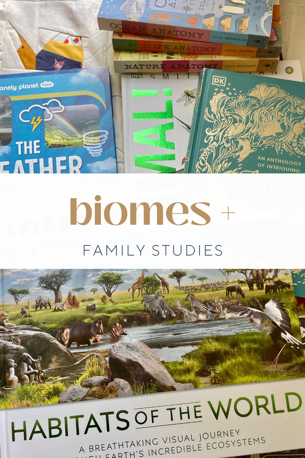 biomes &amp; habitats resources