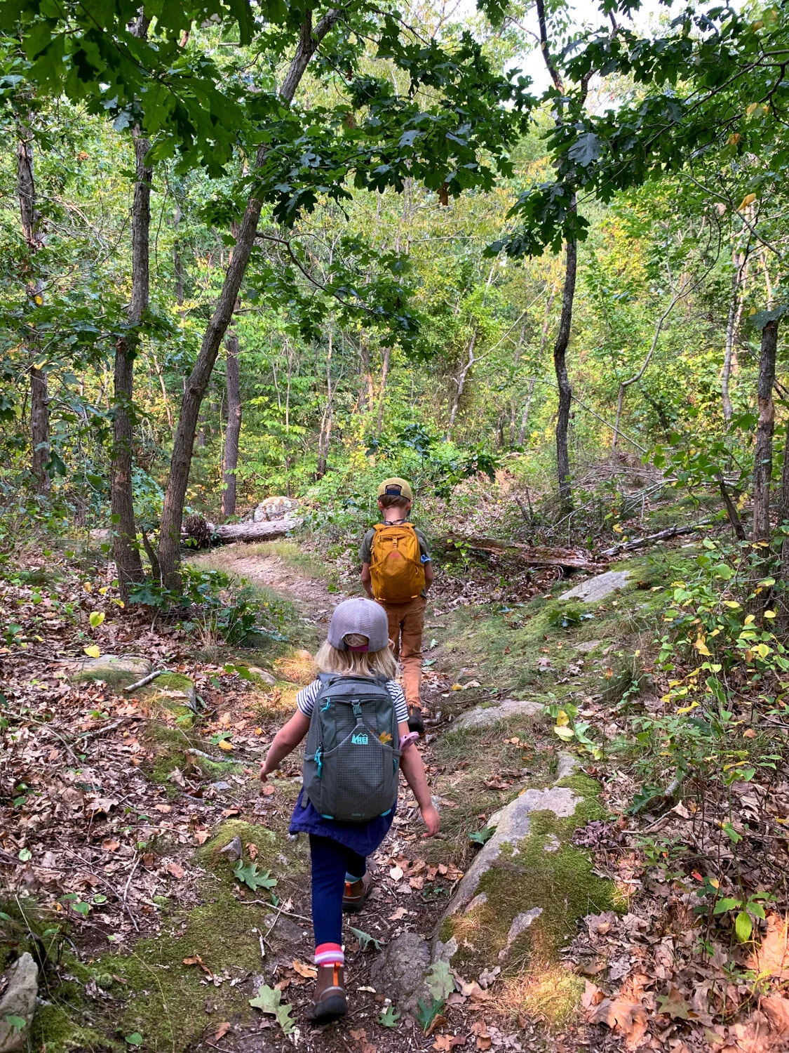 hiking with kids