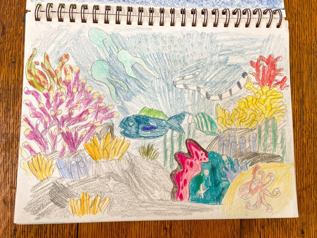 child's drawing of a coral reef