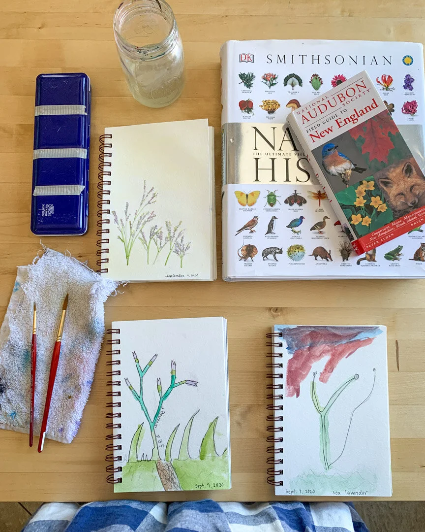 nature study routines and resources