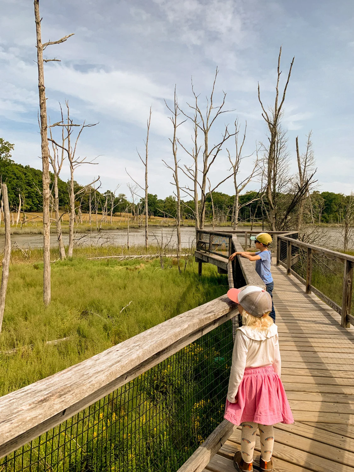 nature play and nature study