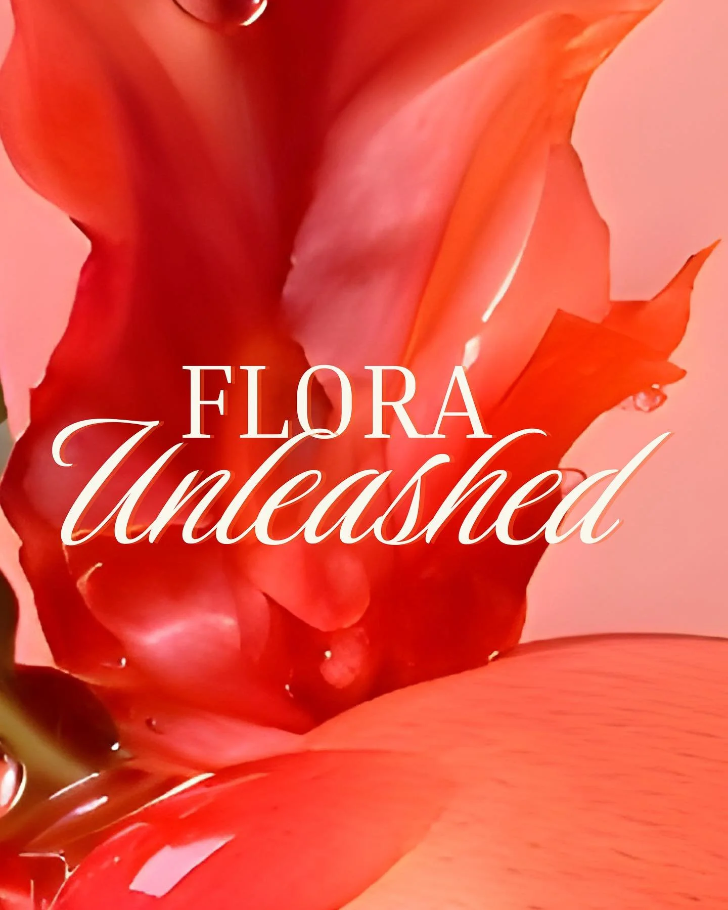 𝐹𝑙𝑜𝑟𝑎 𝑈𝑛𝑙𝑒𝑎𝑠ℎ𝑒𝑑 by florastudio

03 Oct Vernissage 6&mdash;10 pm
04 Oct Exhibition 12&mdash;6 pm + 
Workshops 10&mdash;12 am &amp; 7&mdash;9 pm

📍 Mainzer Str. 37, 50678 Cologne

🔗Book Workshops via Link in Bio

✨More details coming soo