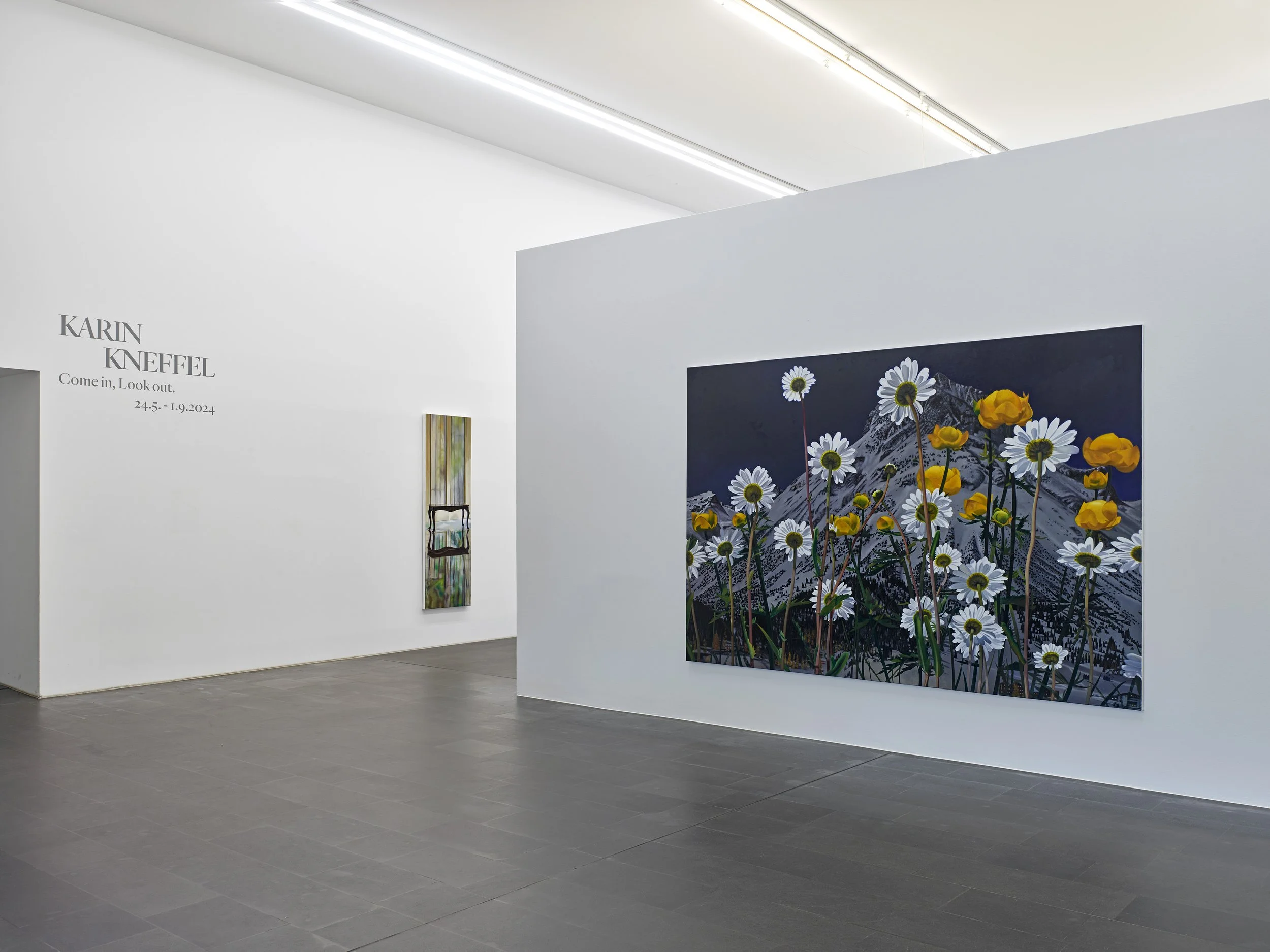 Come in, look out 002.jpg