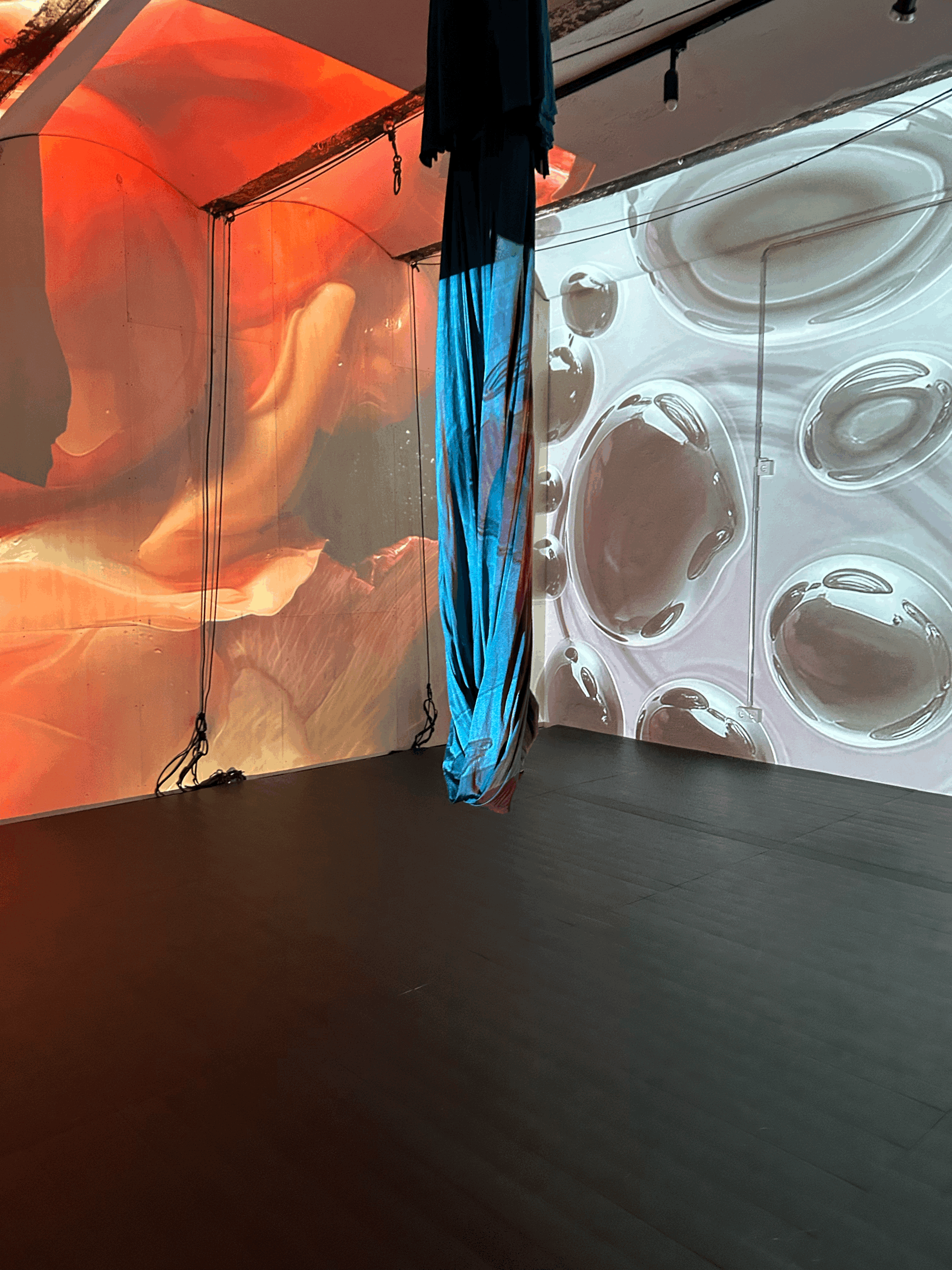 Aerial Yoga (Beginner)