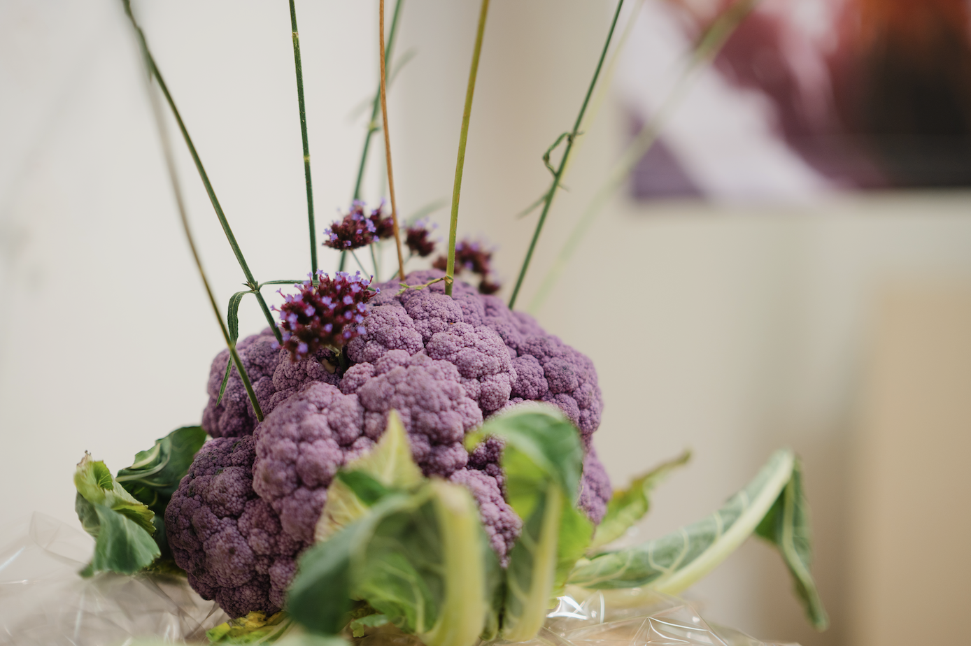 Bildschirmfoto 2025-12-09 um 13.56.25.png