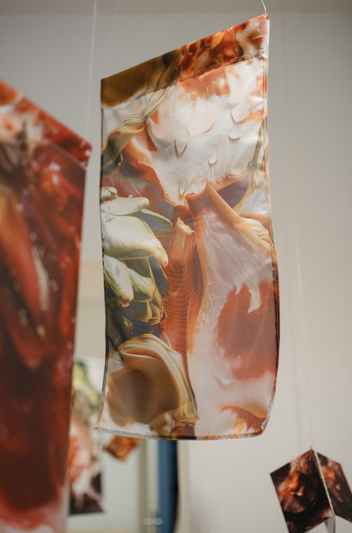 Bildschirmfoto 2025-12-18 um 18.03.28.png