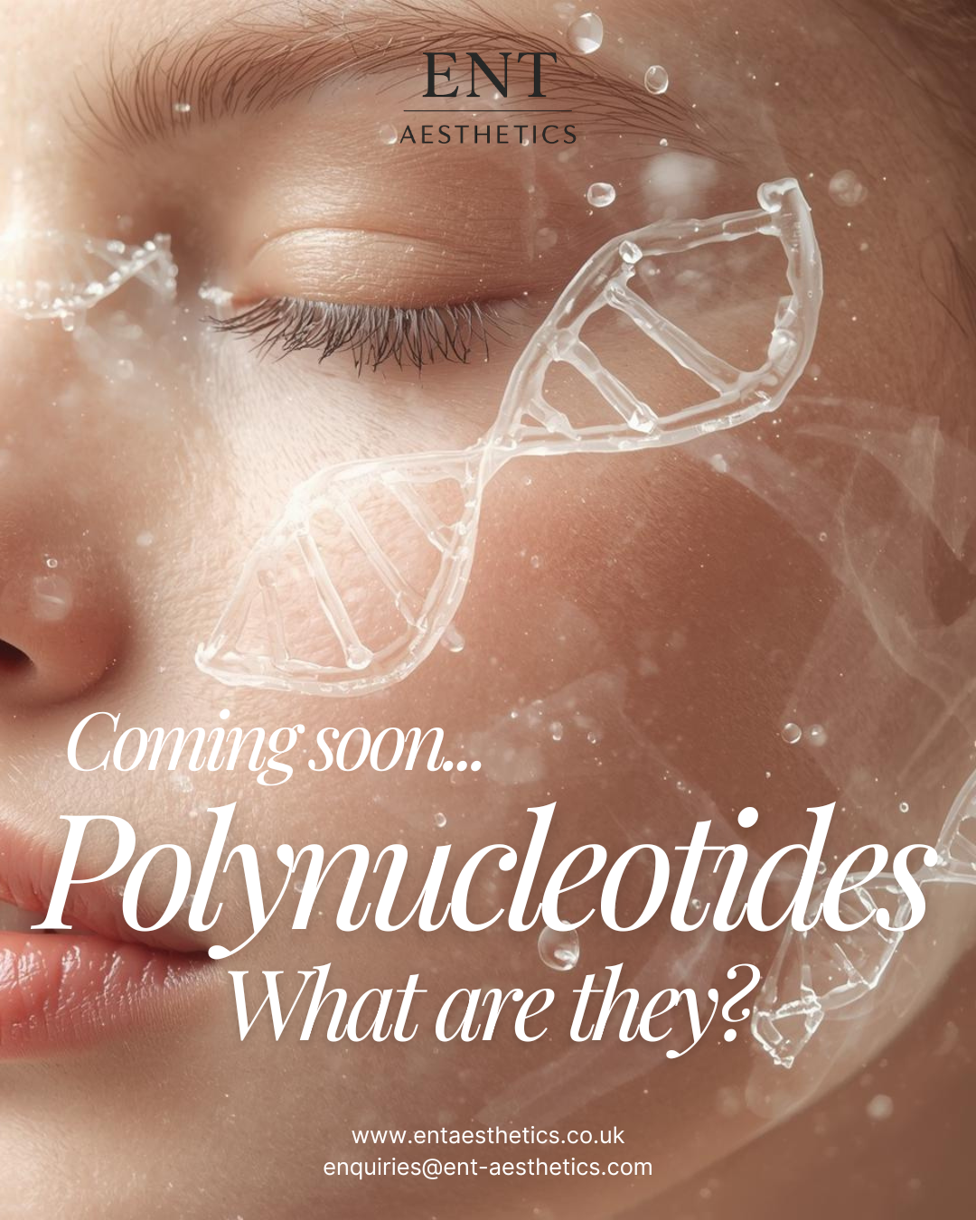 Polynucleotides - what are they?