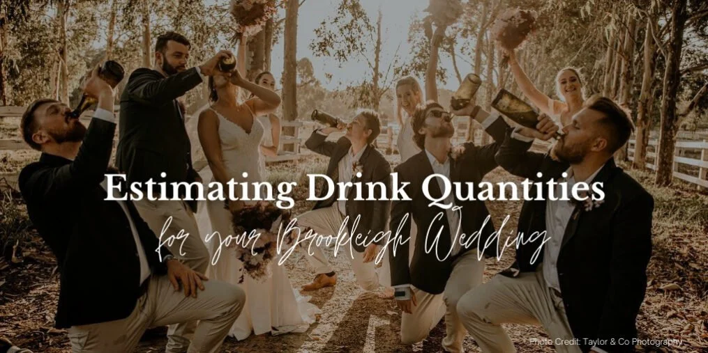 Estimating Drink Quantities