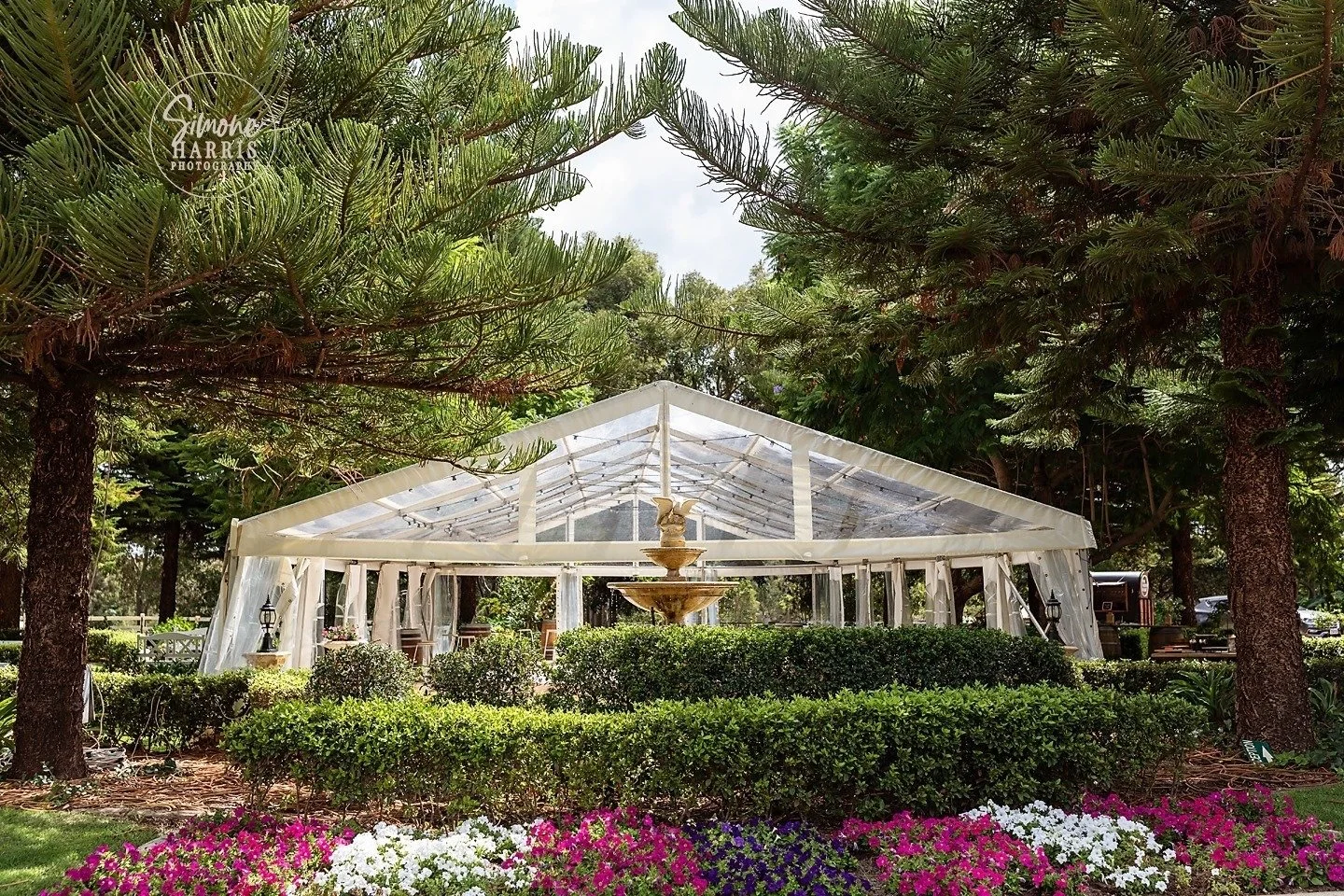 White wedding tent with transparent panels set up outdoors among green trees, with a fountain in front and flower beds of pink, white, and purple flowers at the front.