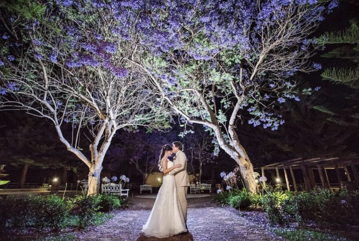 A bride and groom dancing under illuminated trees at night, surrounded by benches and garden plants.