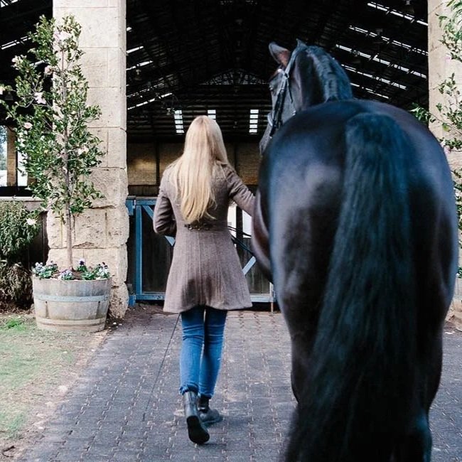 A woman with long blonde hair, wearing a brown coat, blue jeans, and black boots, holding a lead rope while walking with a black horse into a stable barn.
