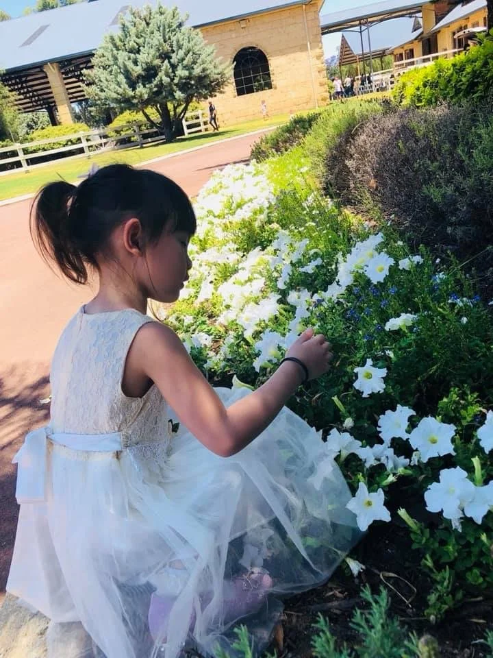 A young girl in a white dress kneeling by a bed of white and blue flowers, touching the flowers with her hand outside on a sunny day.