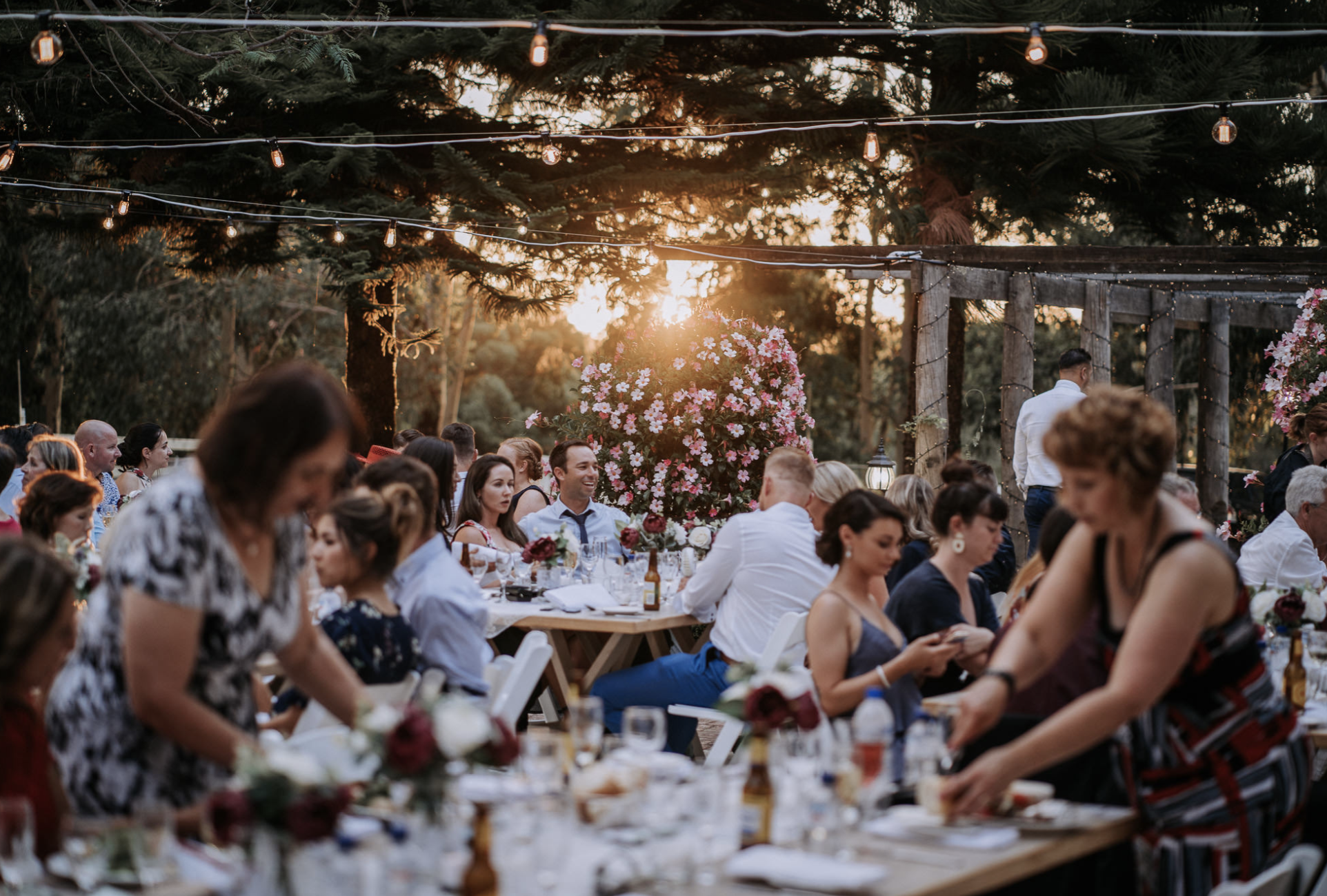 Outdoor wedding reception with guests seated at long tables, string lights overhead, trees and sunset in the background, and floral decorations on tables.