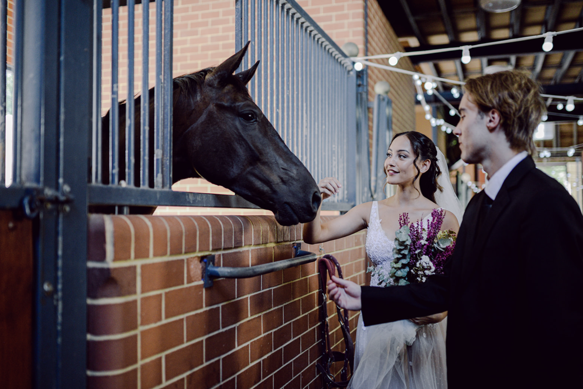 A bride with a bouquet of lavender and eucalyptus petting a black horse through a metal stall door at a wedding venue. The groom is standing nearby. String lights hang from the ceiling in the background.
