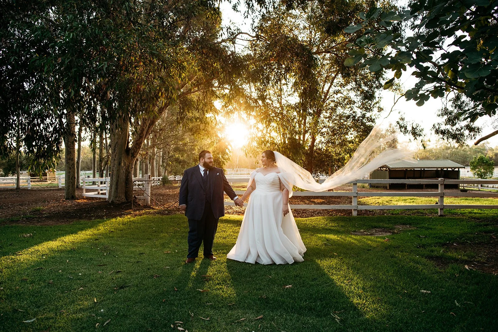 A bride and groom holding hands in a sunny outdoor setting with trees and a white fence, at sunset. The bride wears a white gown and veil, and the groom wears a dark suit.