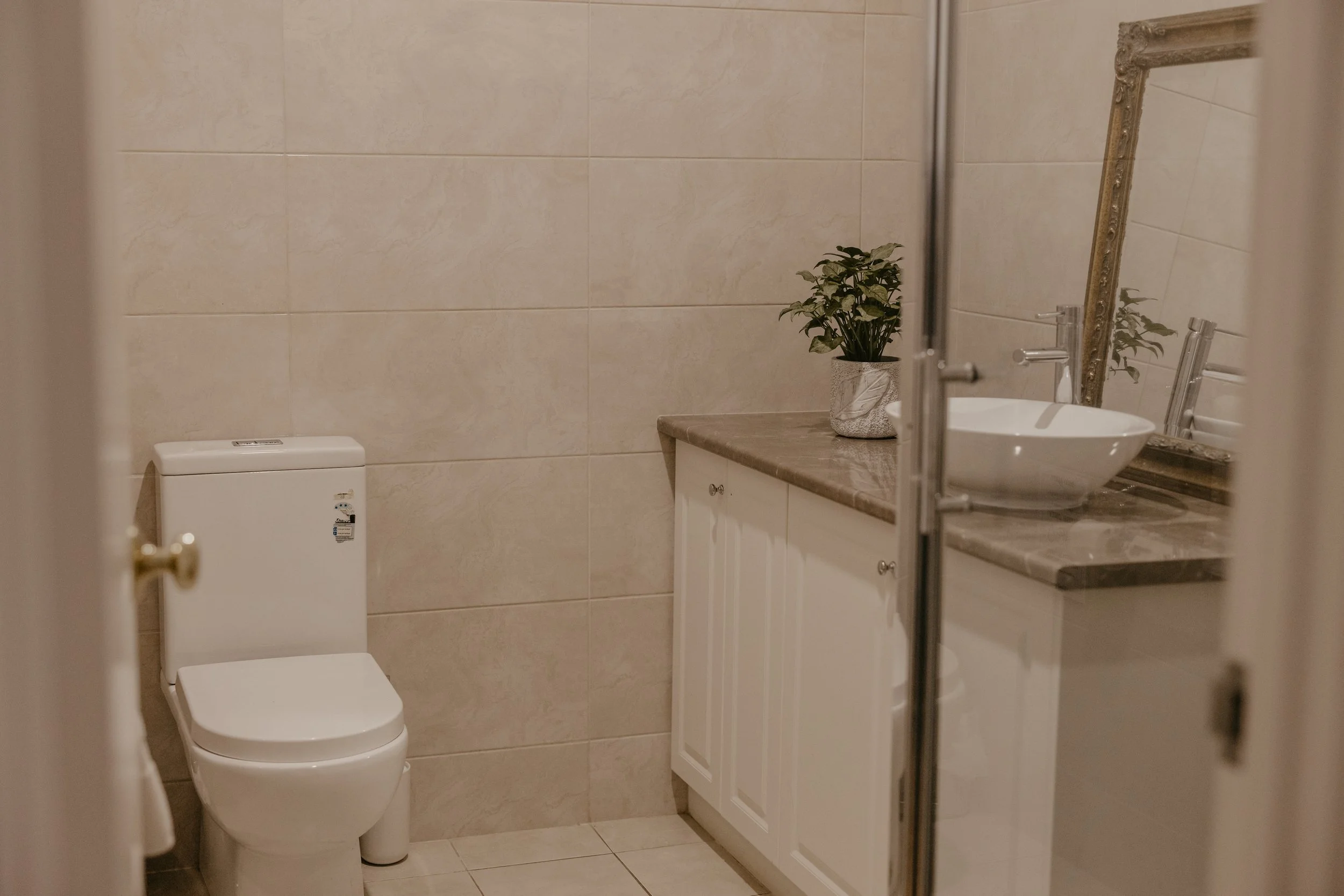 A bathroom with beige tiled walls, a white toilet, a white vanity with a brown marble countertop, a decorative plant in a white pot, and a large ornate framed mirror reflected in a glass shower door.