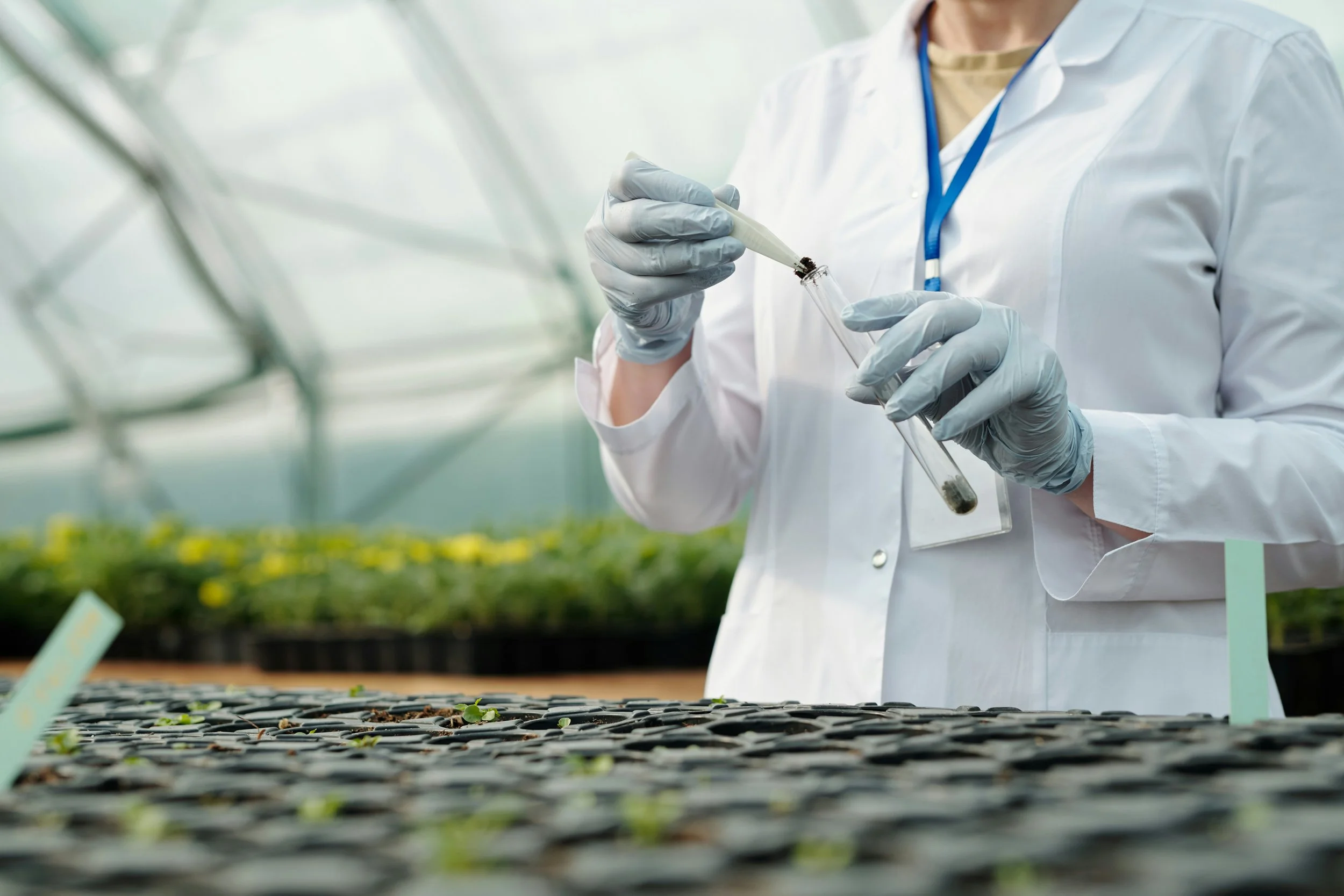 A scientist working with plants in a lab