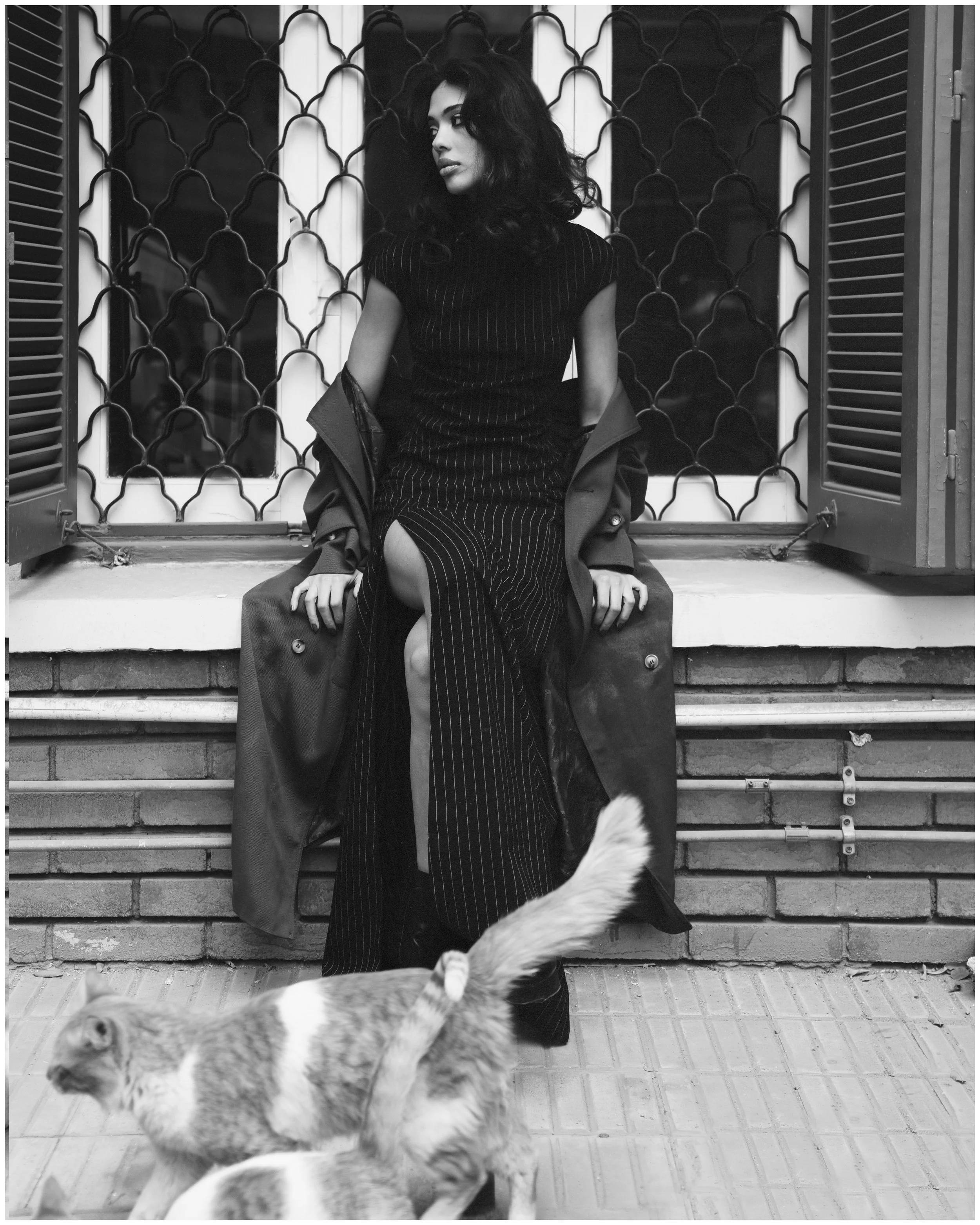 A woman with dark, curly hair wearing a pinstripe dress and a coat, sitting on a window ledge with bars behind her. Two cats are in the foreground, one walking past and the other partially visible.