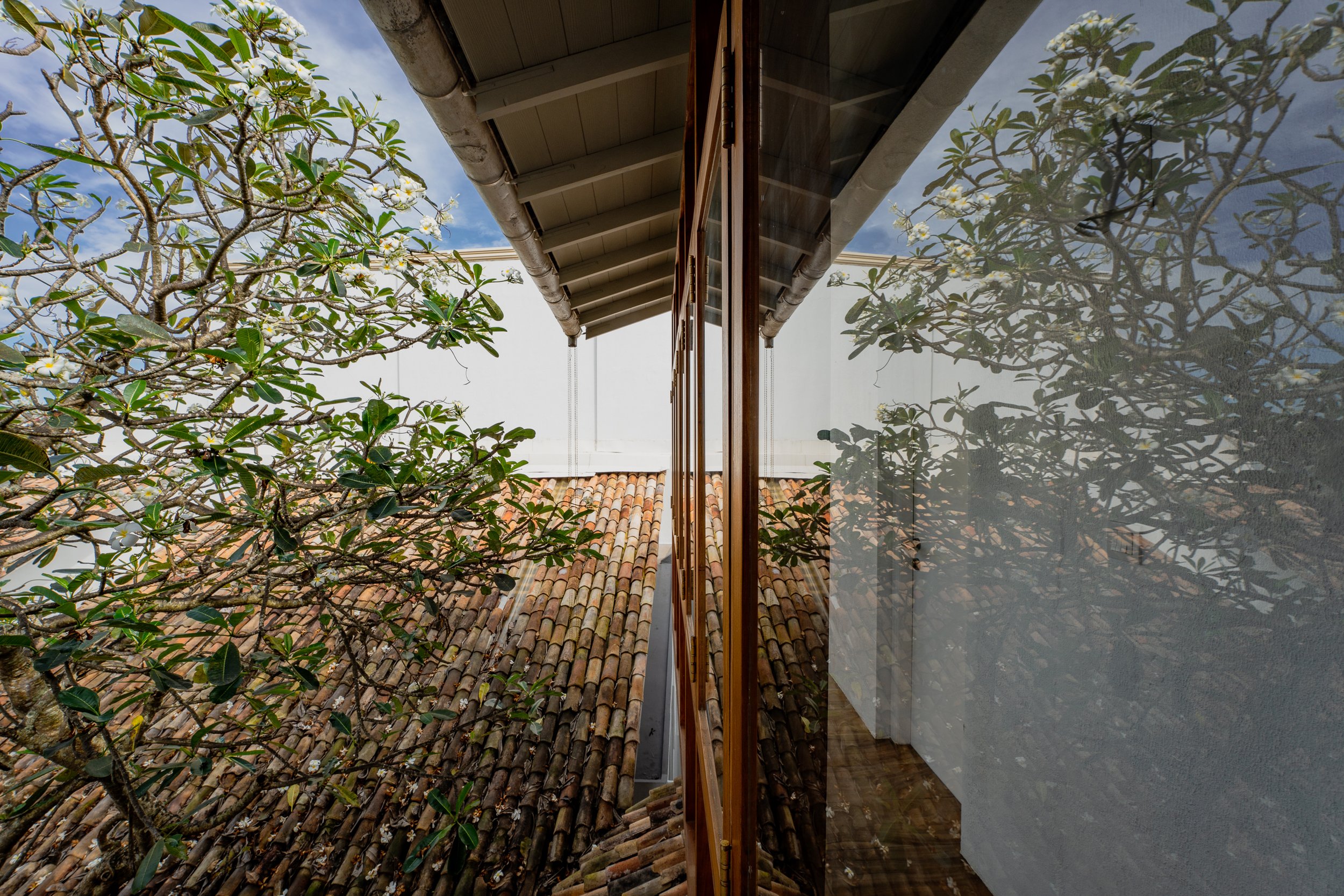 timber walkway frangipani tree villa 1740 Pedlar Street Galle Fort